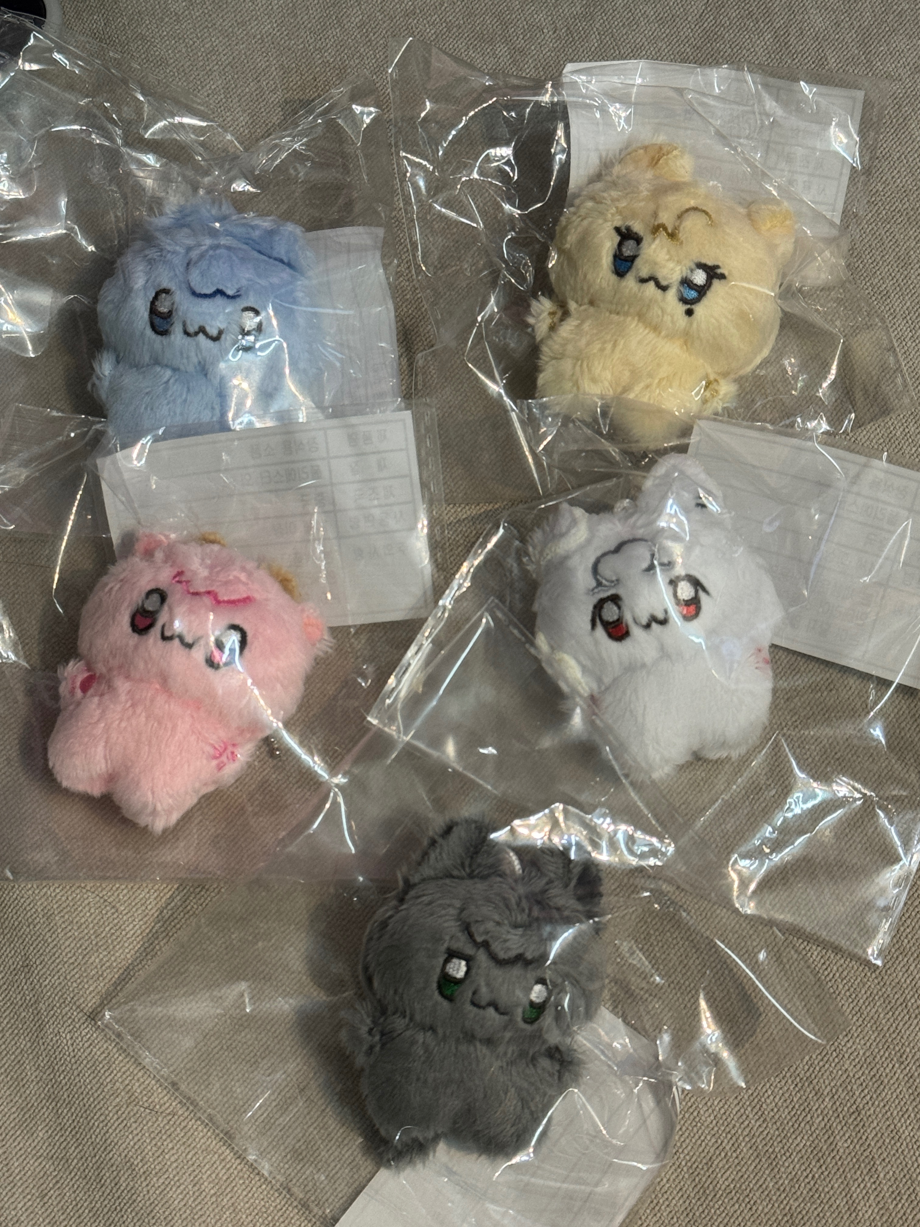 飯製5cm 똥글이브