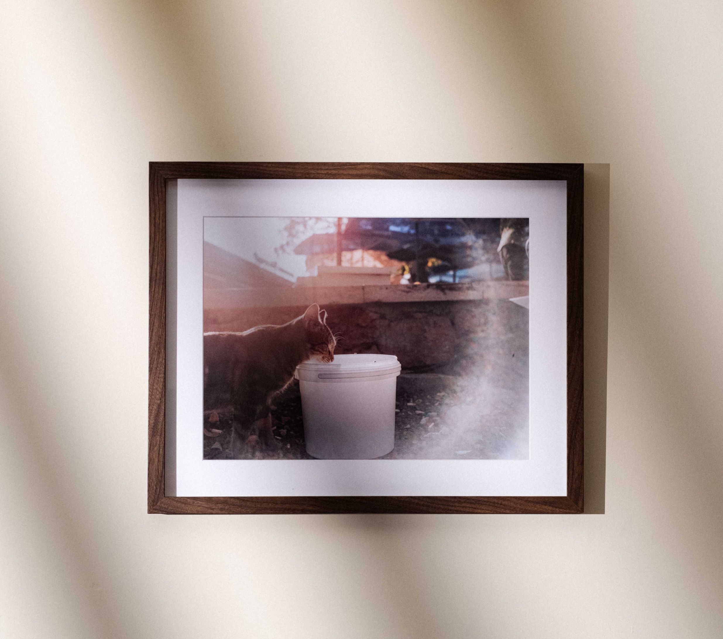 貓七｜土耳其 A3 海報 （無字5款）