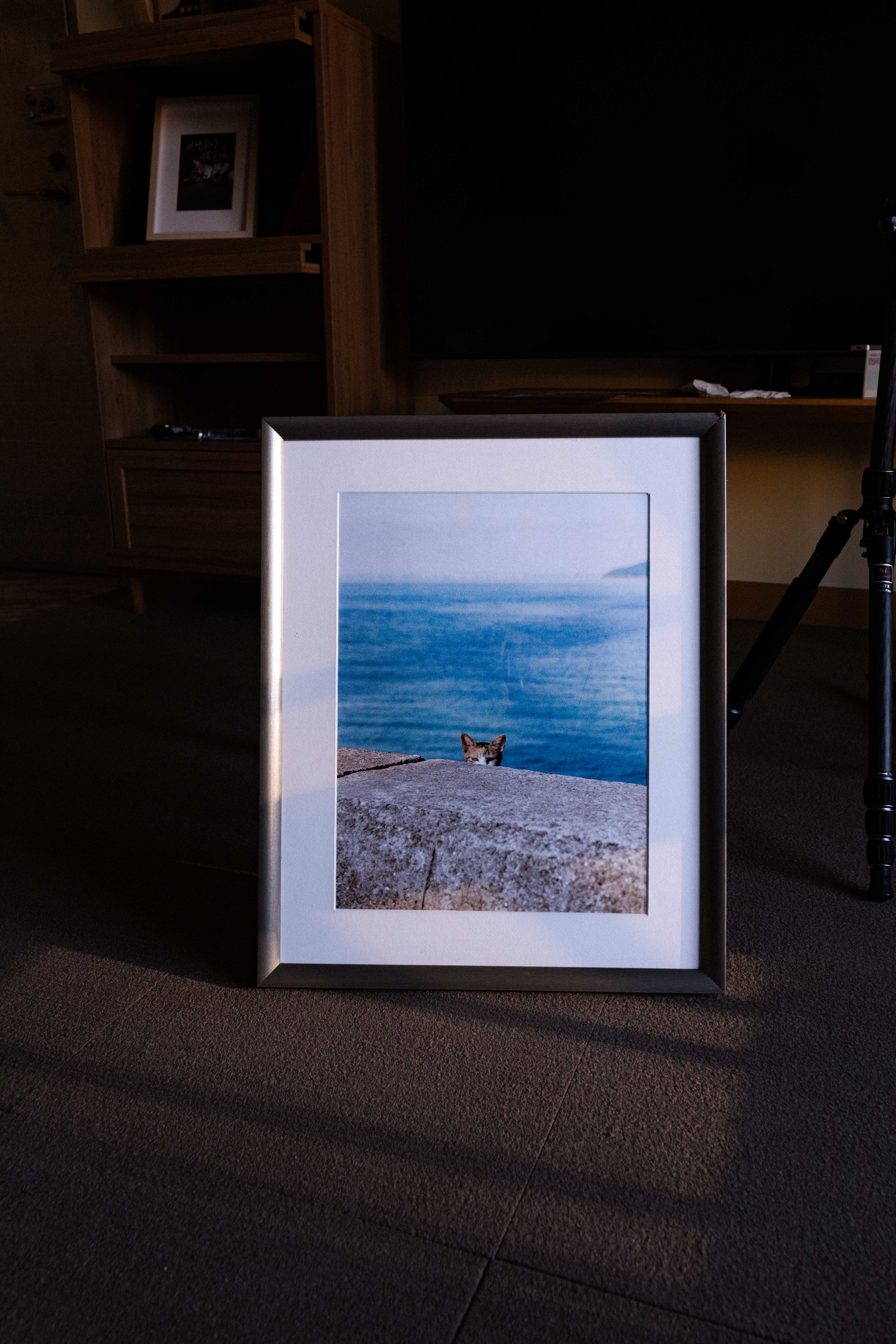 貓七｜佐柳貓島 A3 海報 （6款）