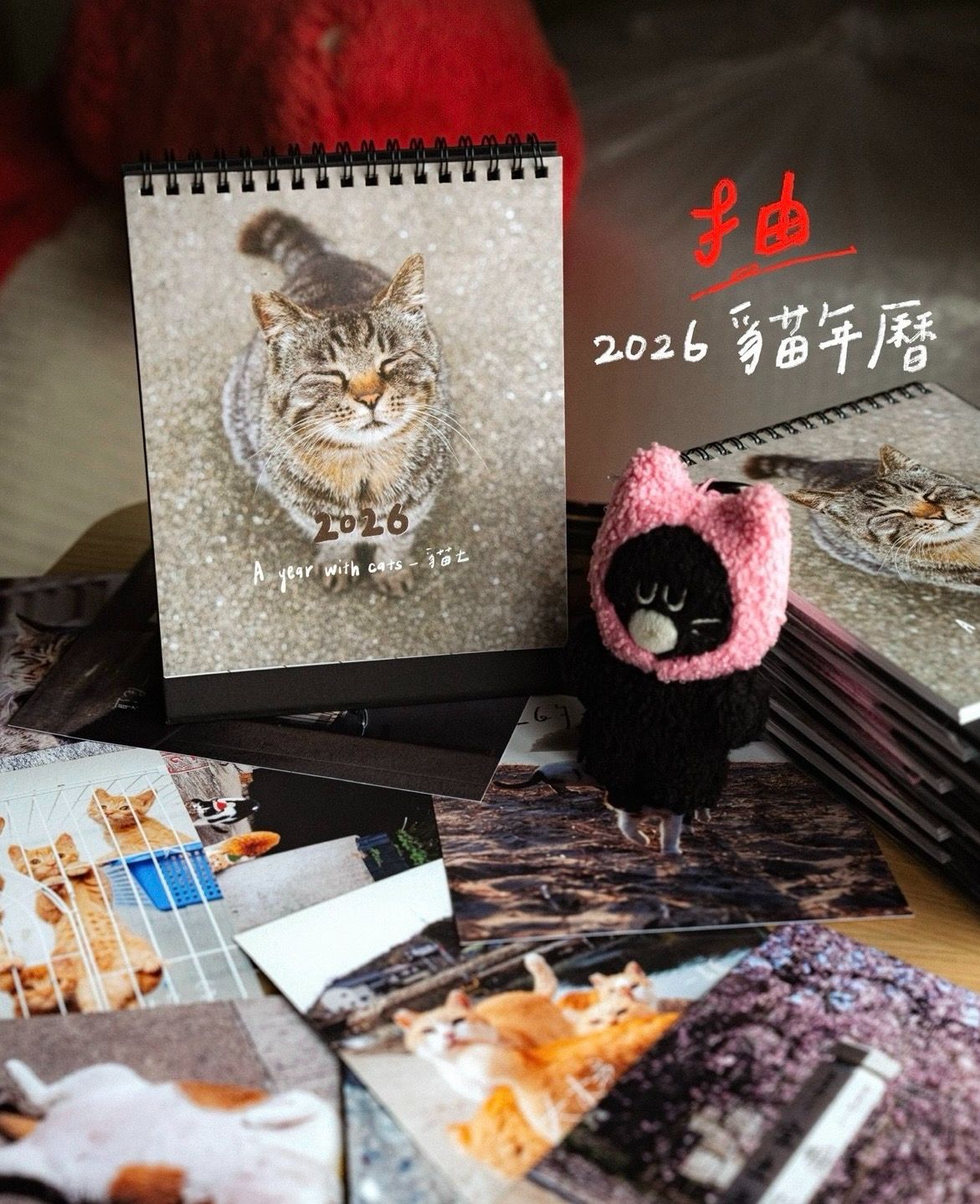 貓七｜ 2026貓年曆 A year with cats