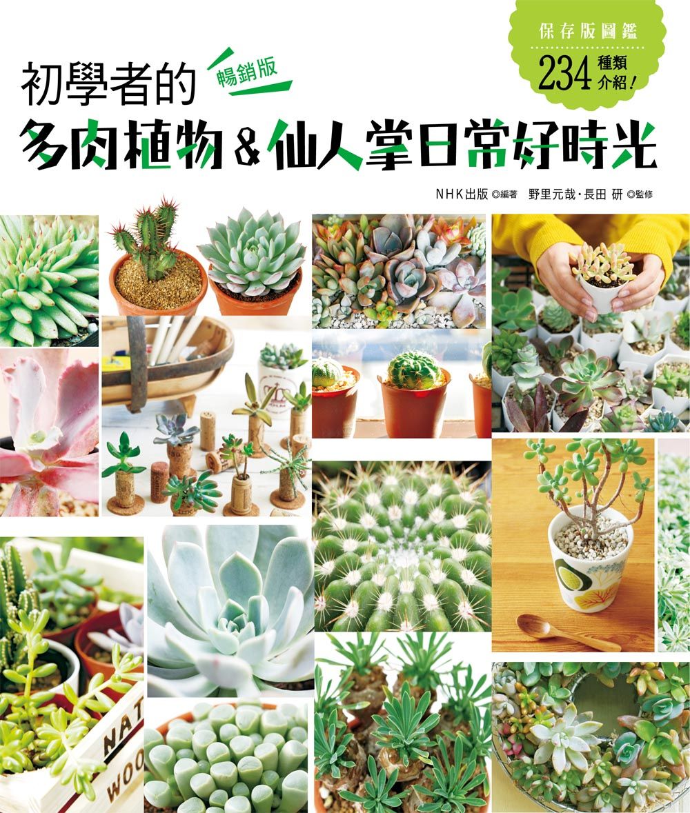 初學者的多肉植物＆仙人掌日常好時光（暢銷版）（自然綠生活15） V102015-1（小花園 ）定價350元