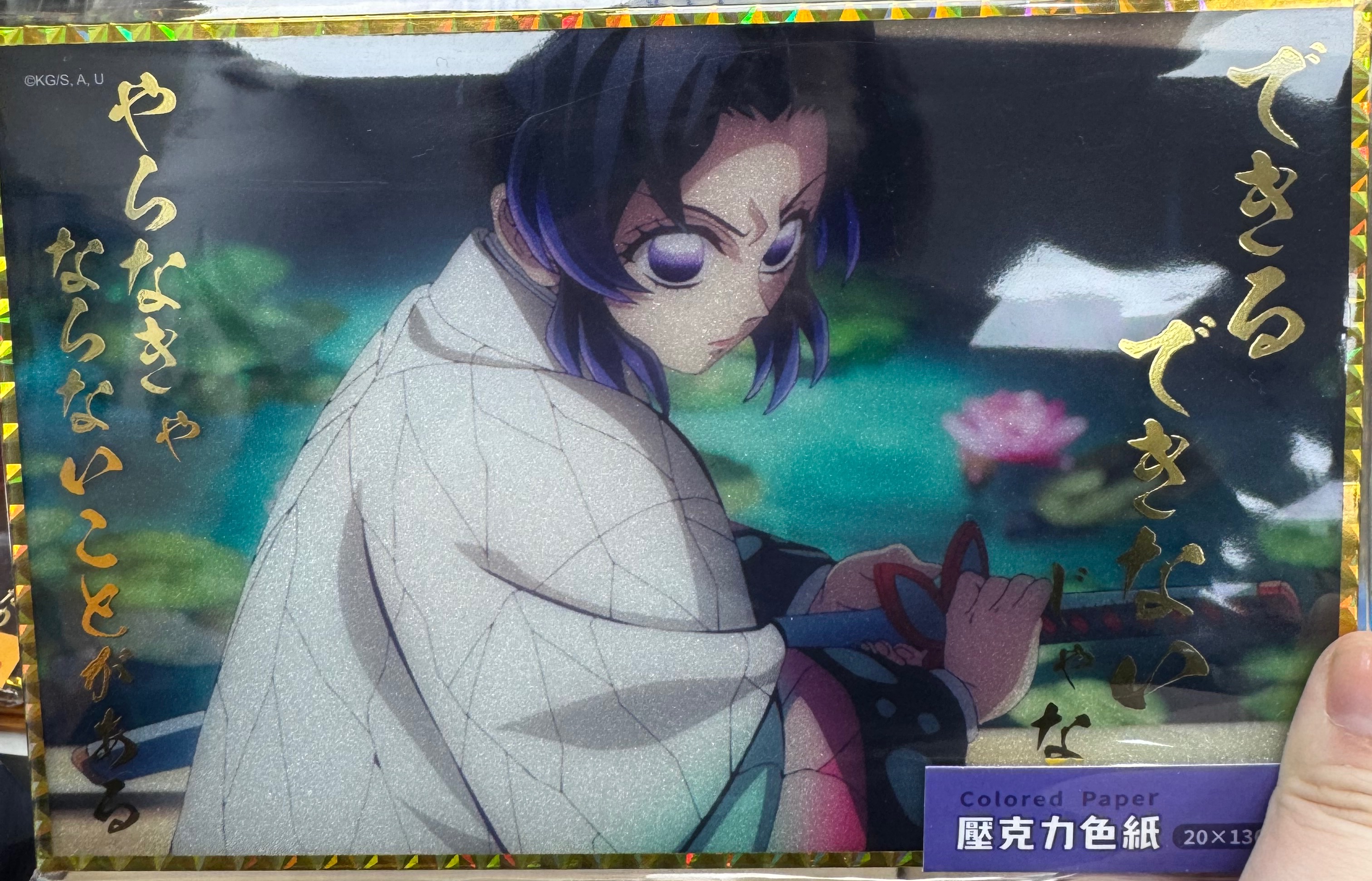 鬼滅與蝴蝶周邊 預購