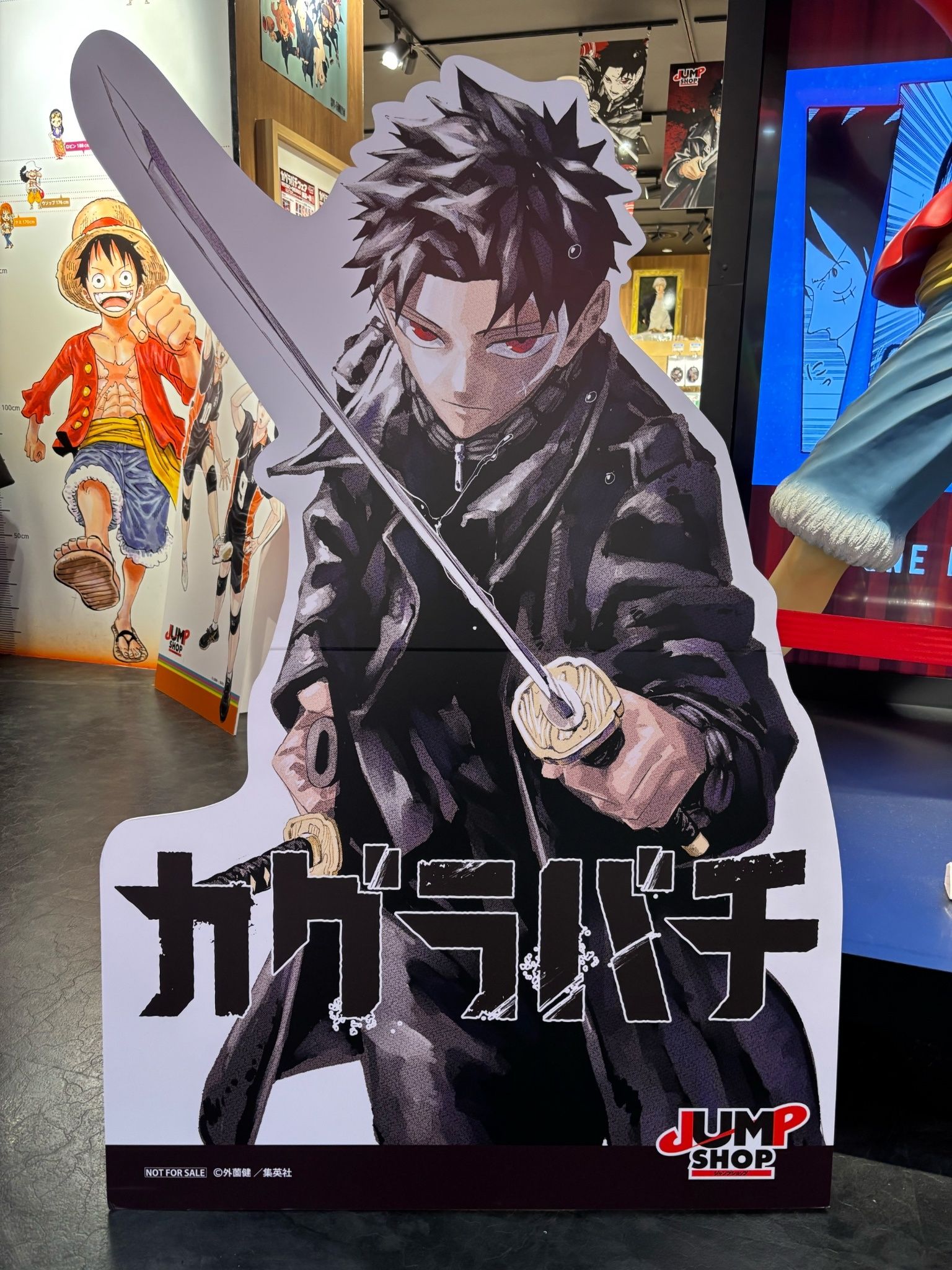 （現地）カグラバチ　フェア