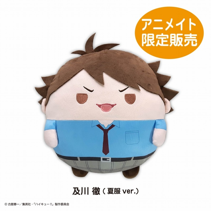 排球 及川 徹（夏服ver.）再販中/大胖娃