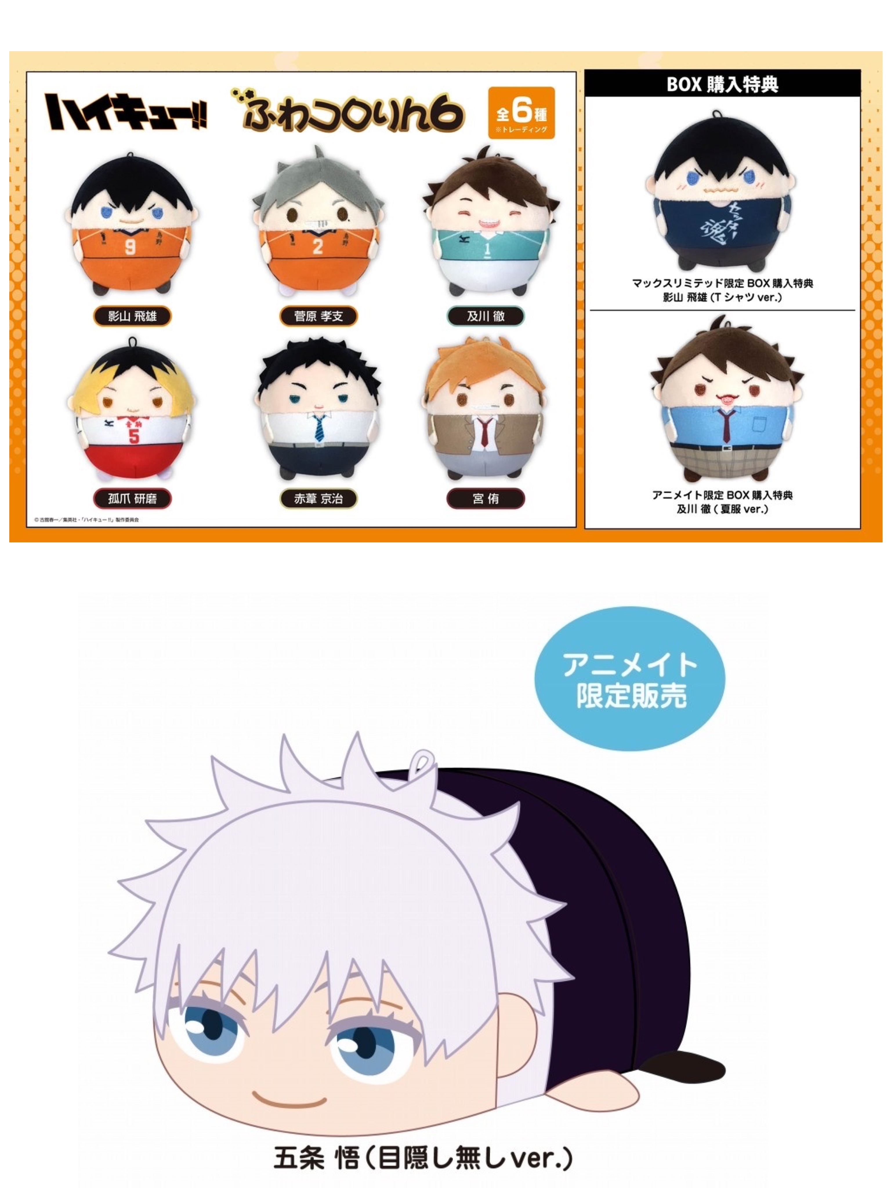 7月發售 排球胖娃BOX / 咒術中大趴娃