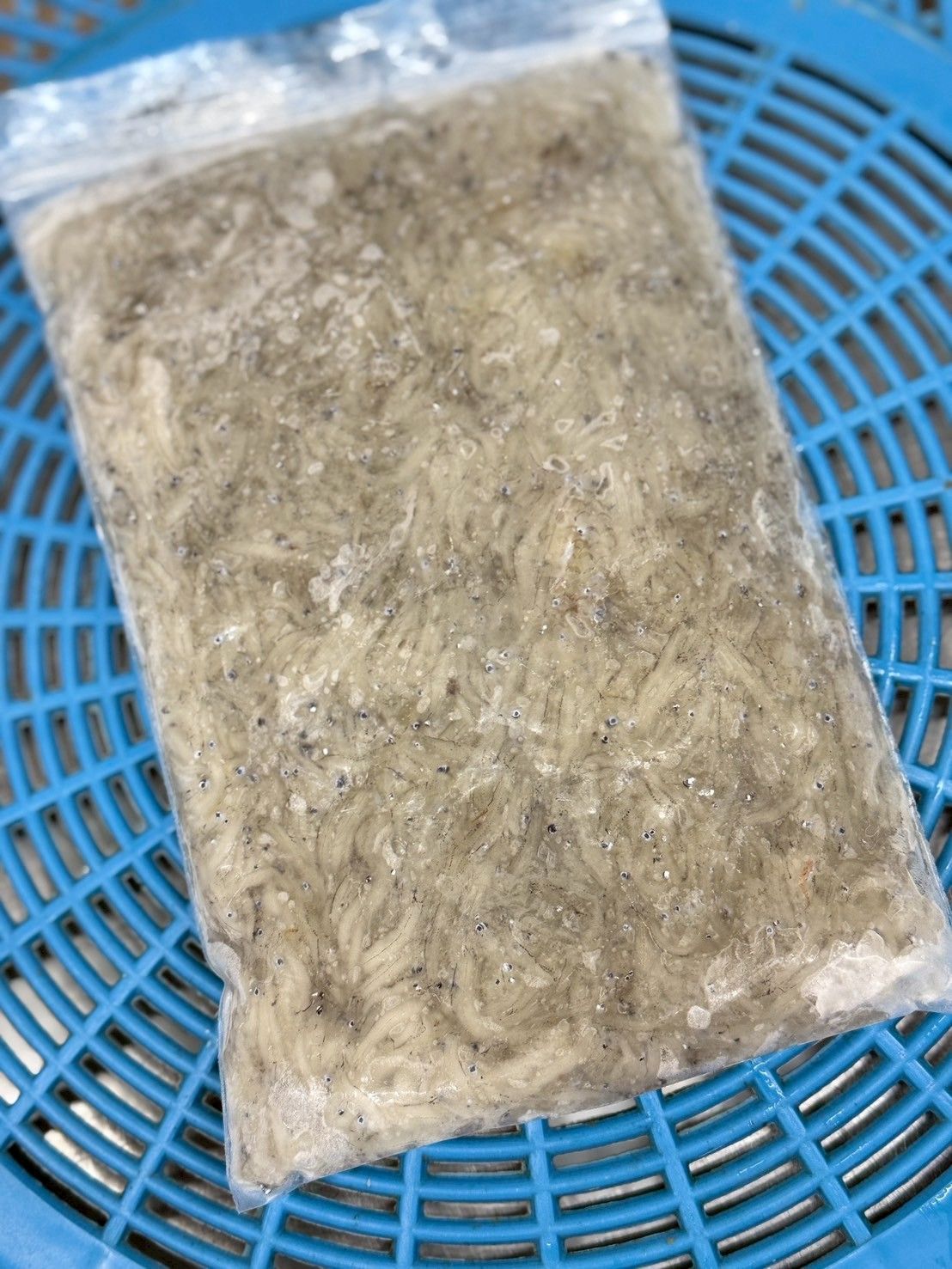 生吻仔魚（夾鏈袋）