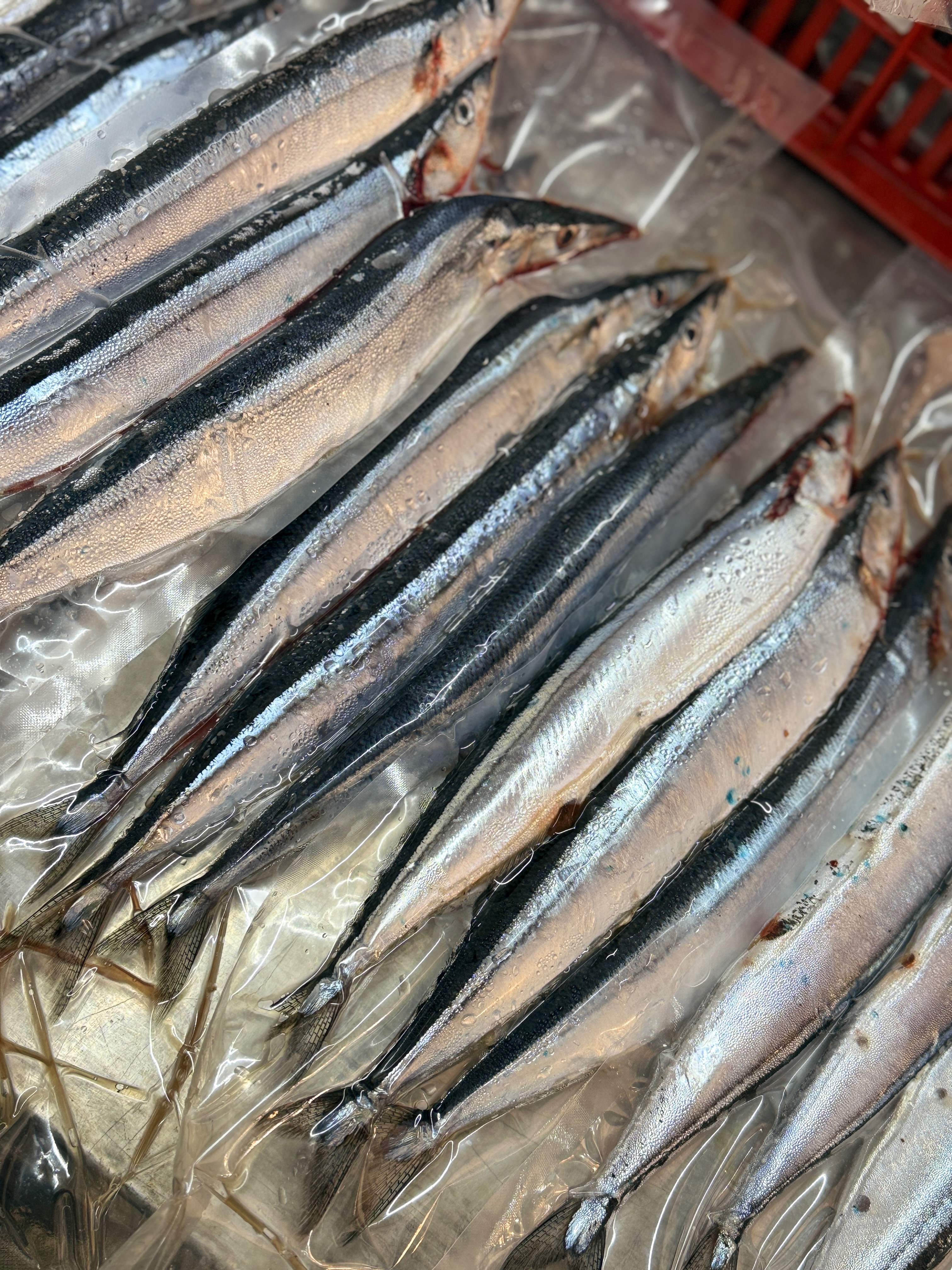首批秋刀魚（真空包）