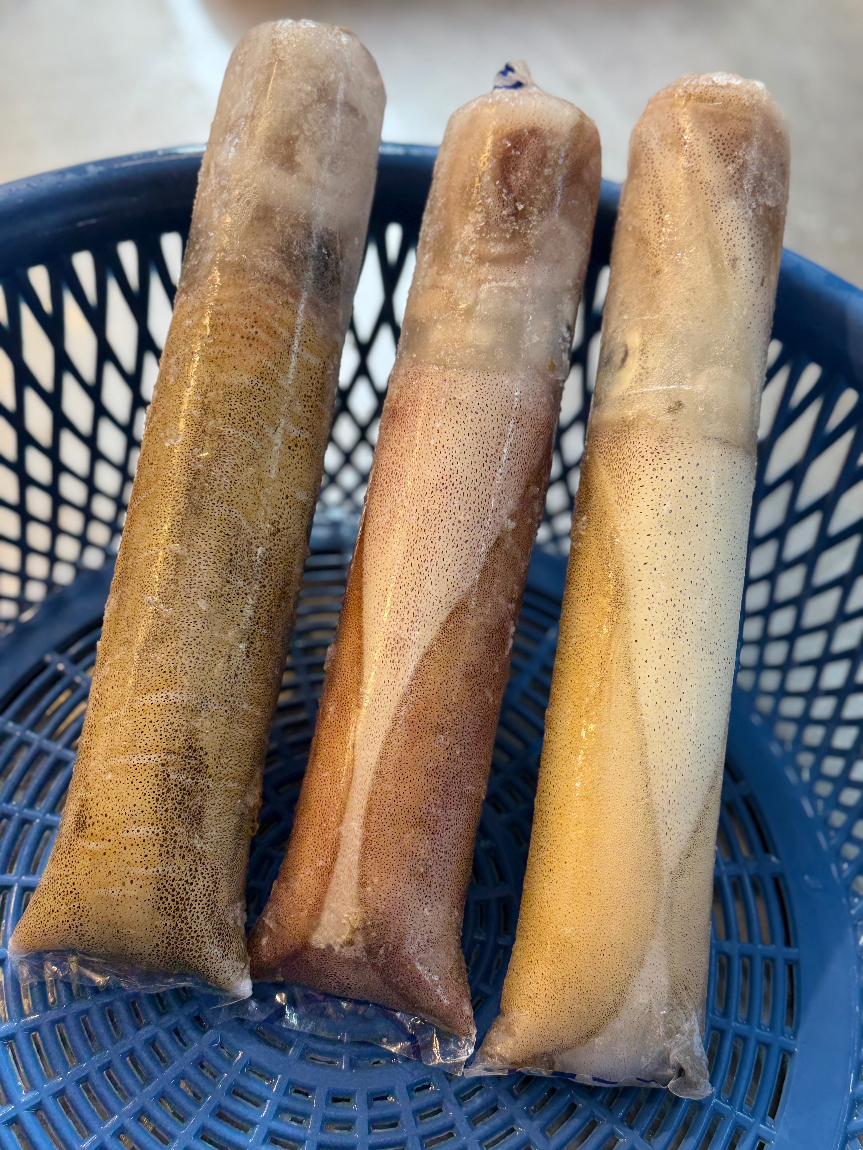 船凍軟絲（單凍）