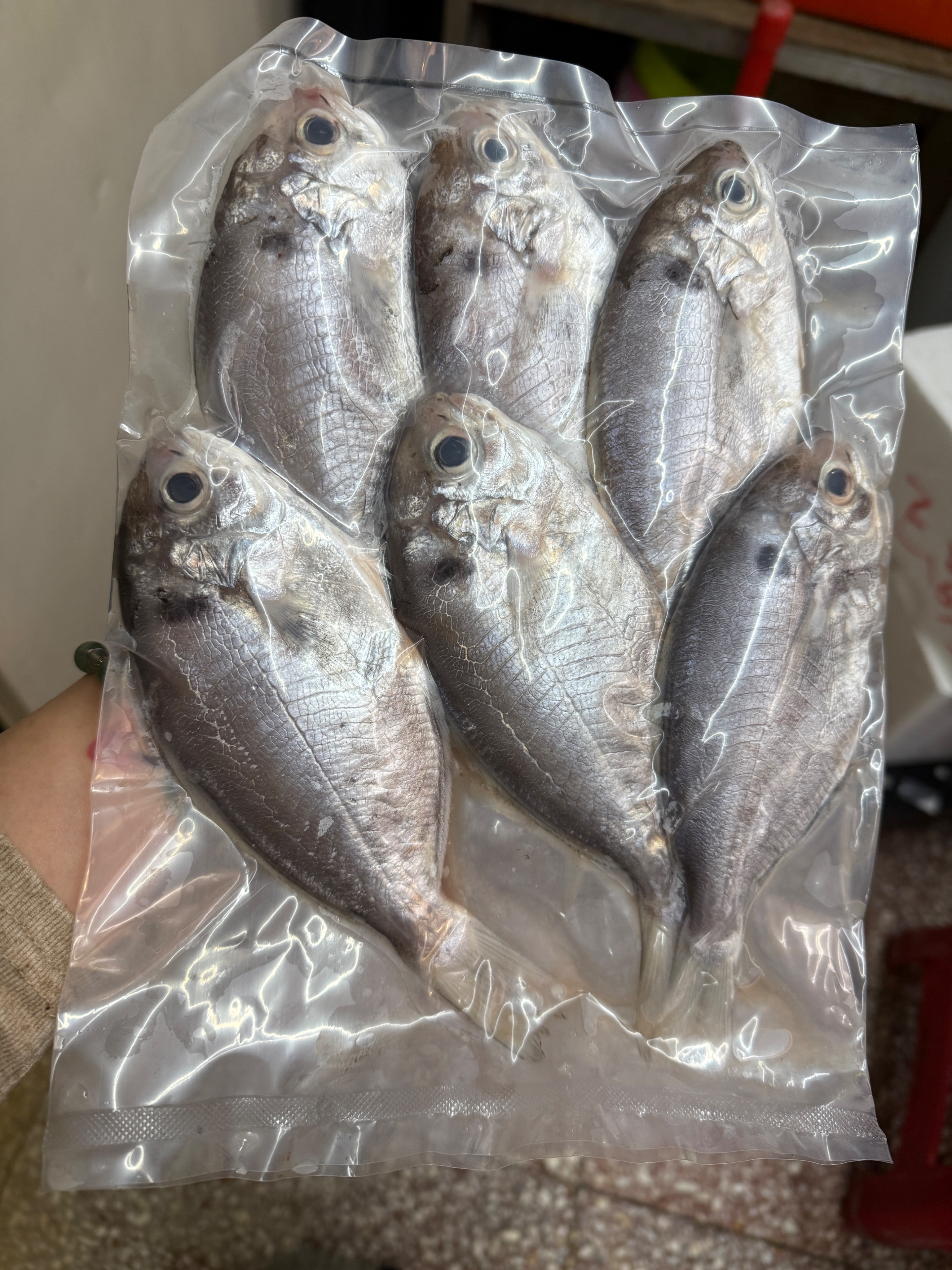 海魚🐠澎湖現流肉魚