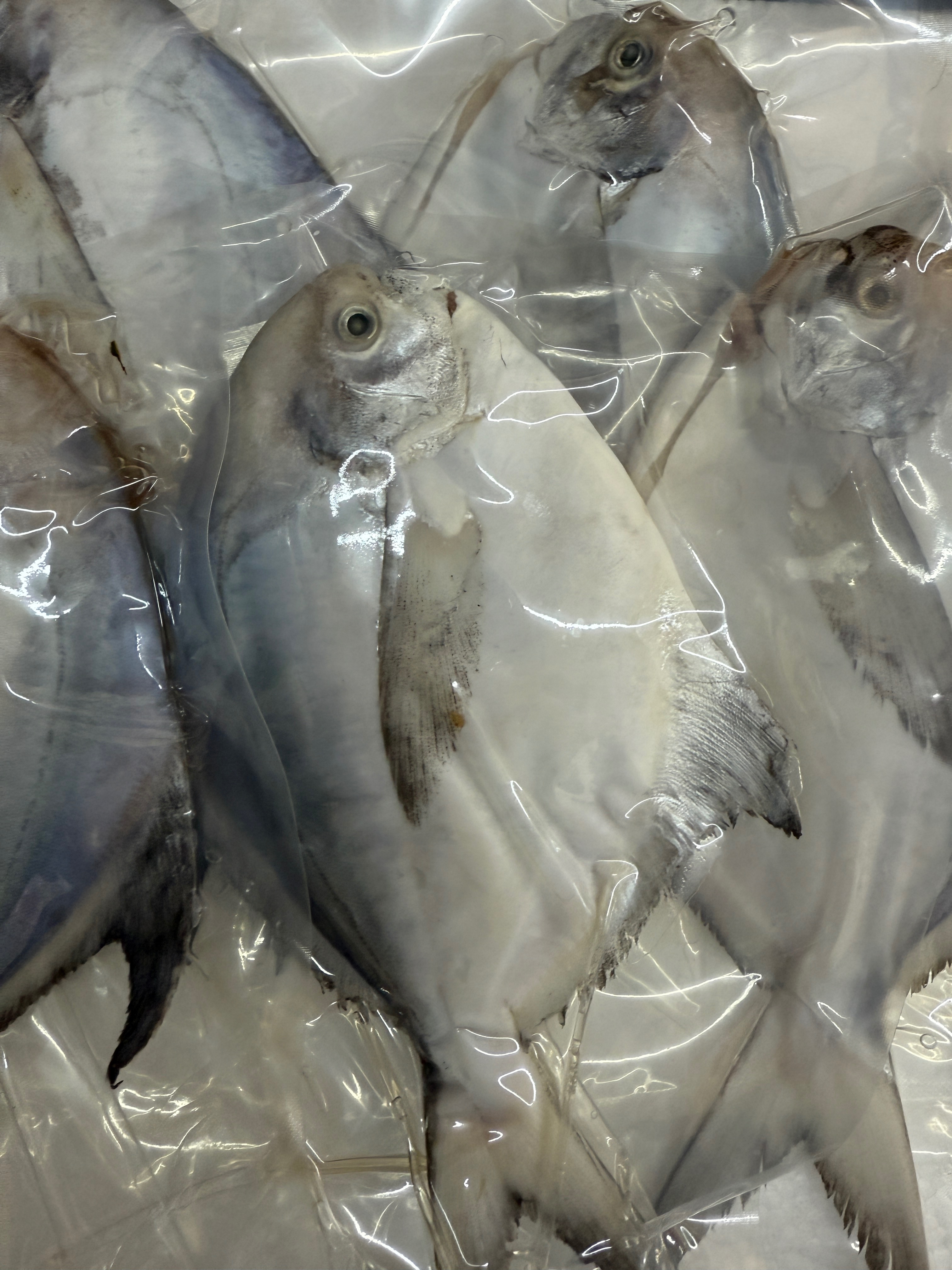 海魚🐠白鯧（群組特價）