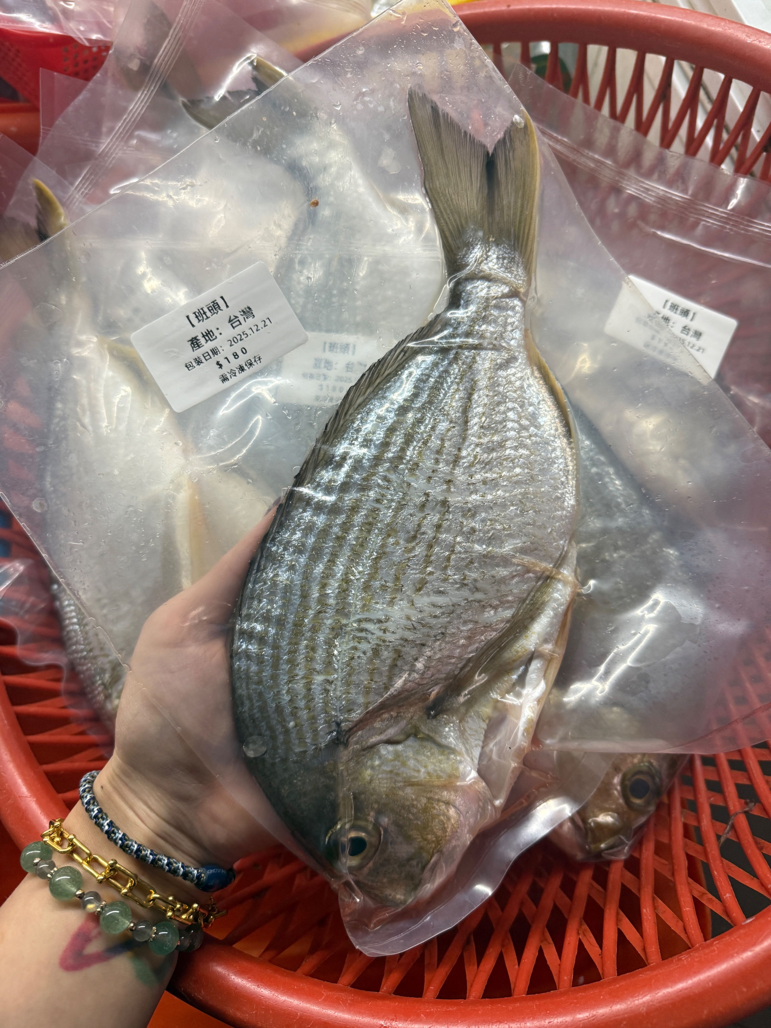 海魚🐠台灣 班頭