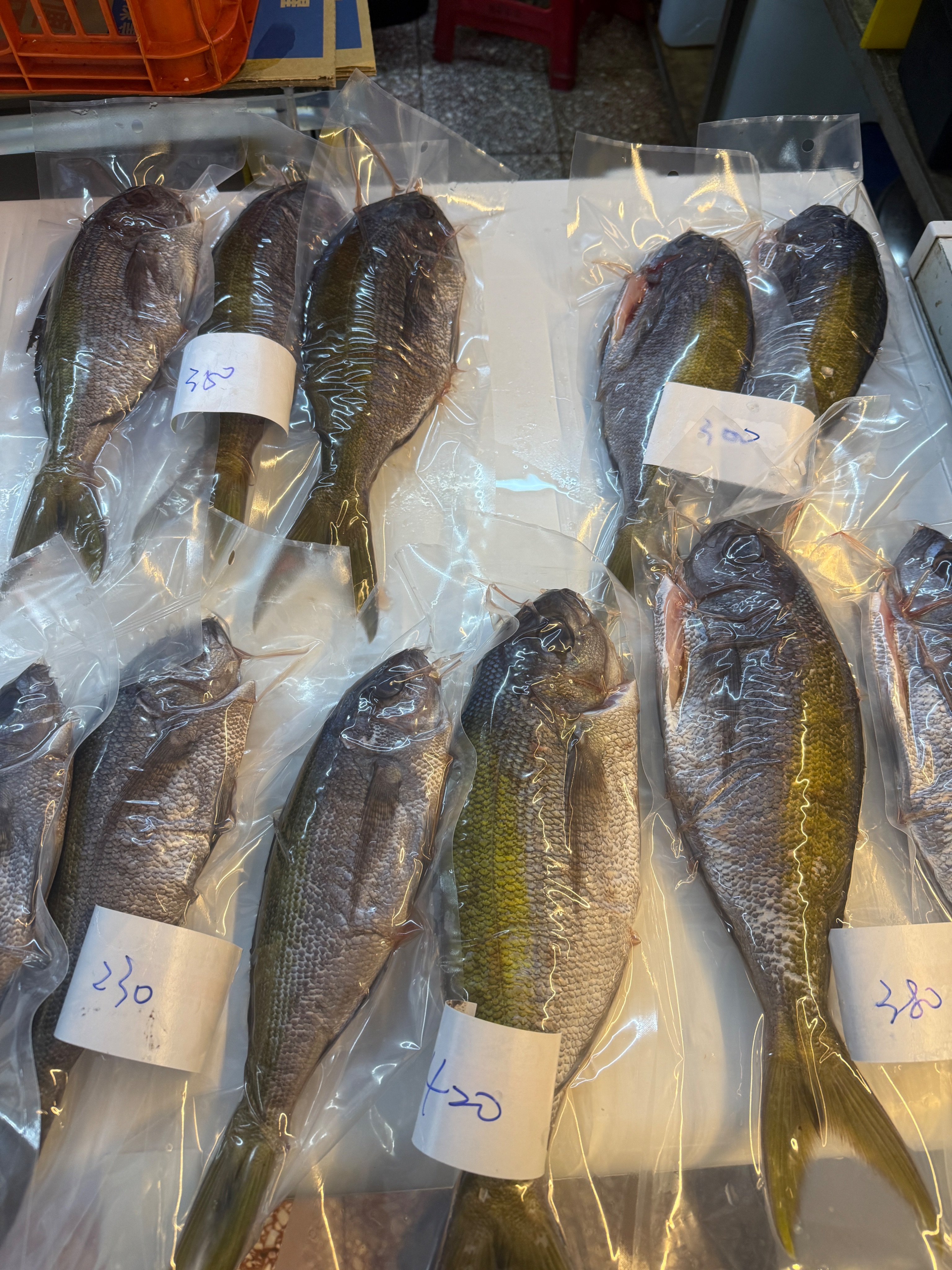 海魚🐠包公雞。