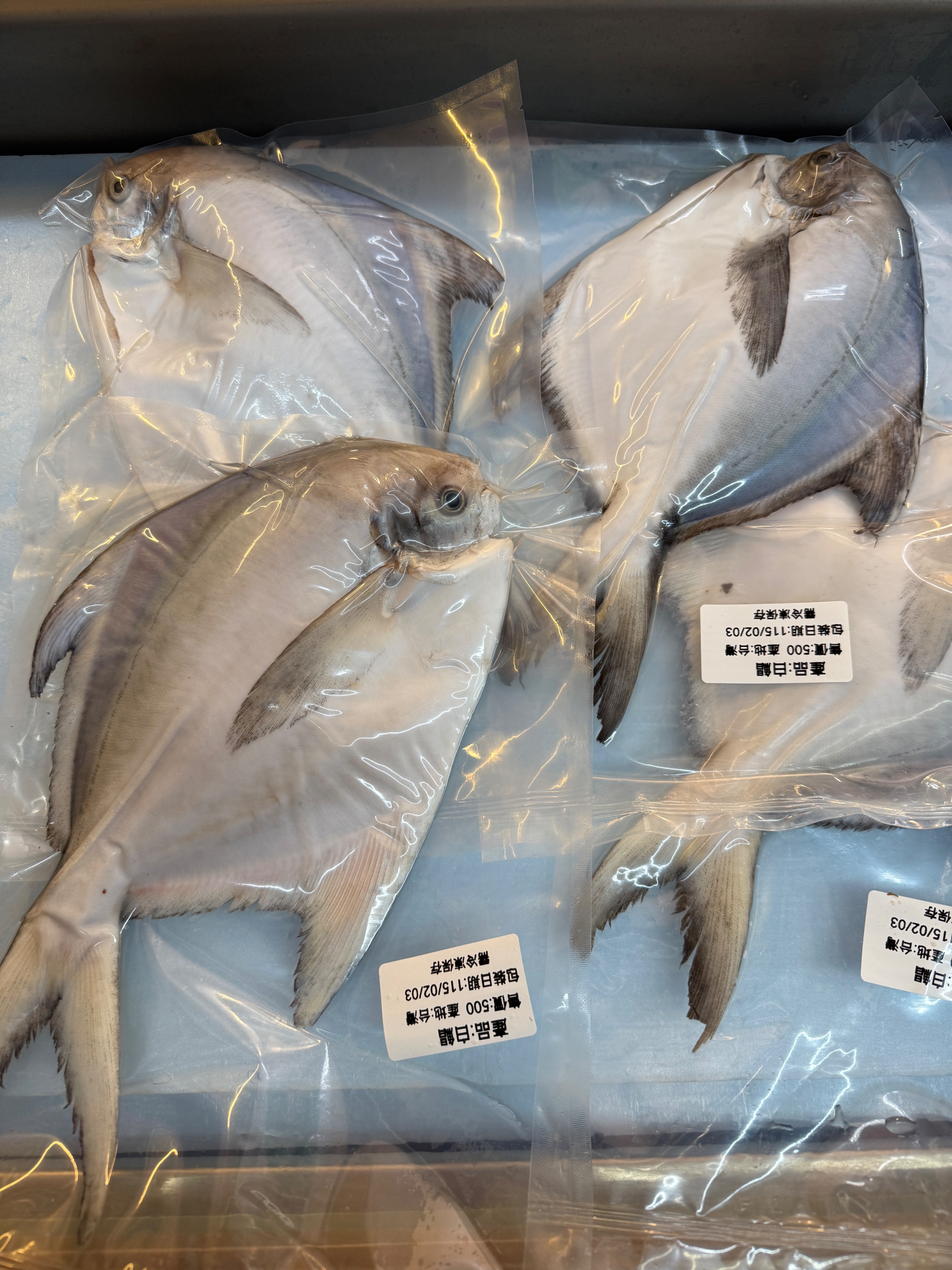 海魚🐠白鯧（14兩左右）