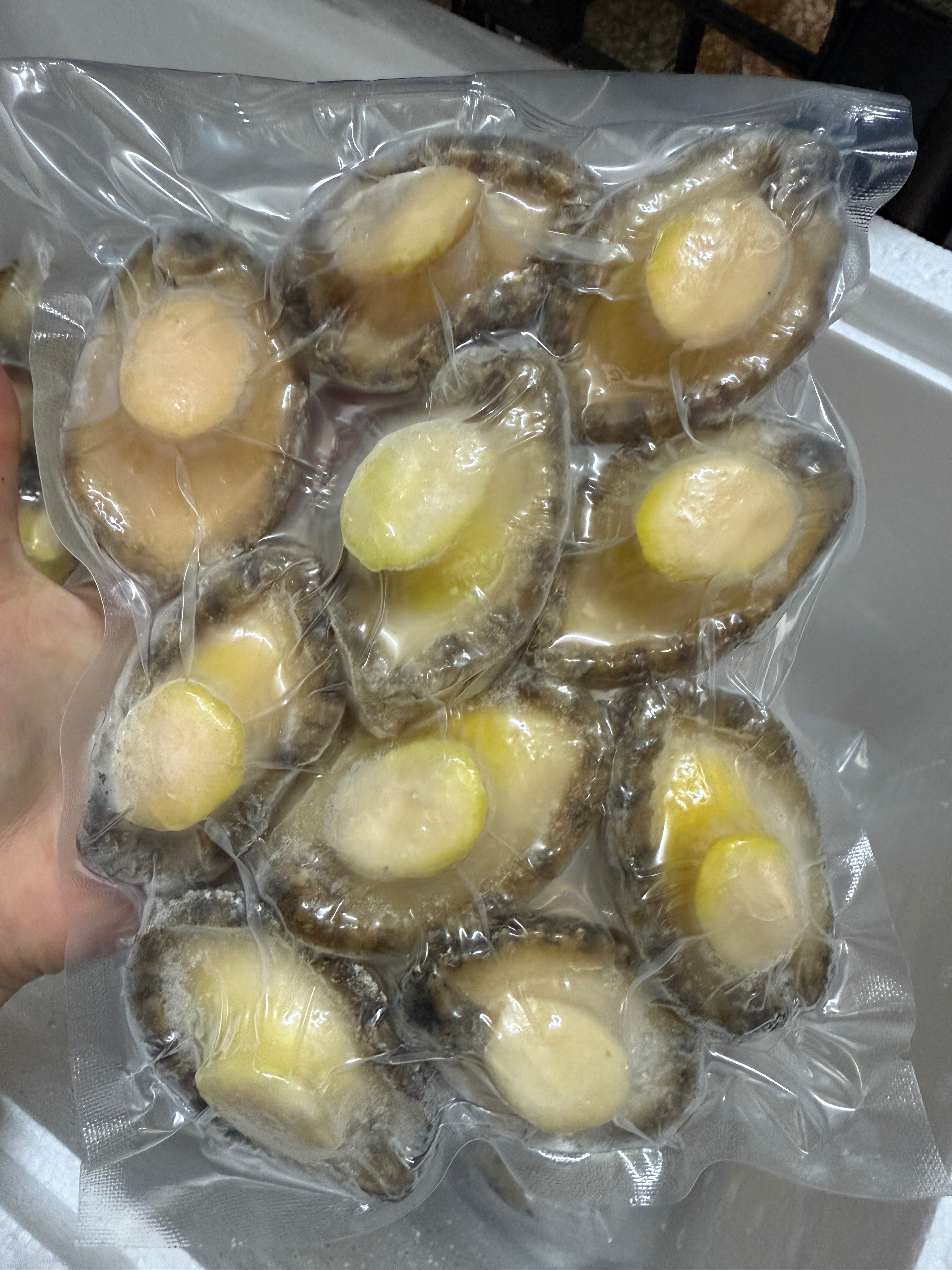 船凍 鮑魚