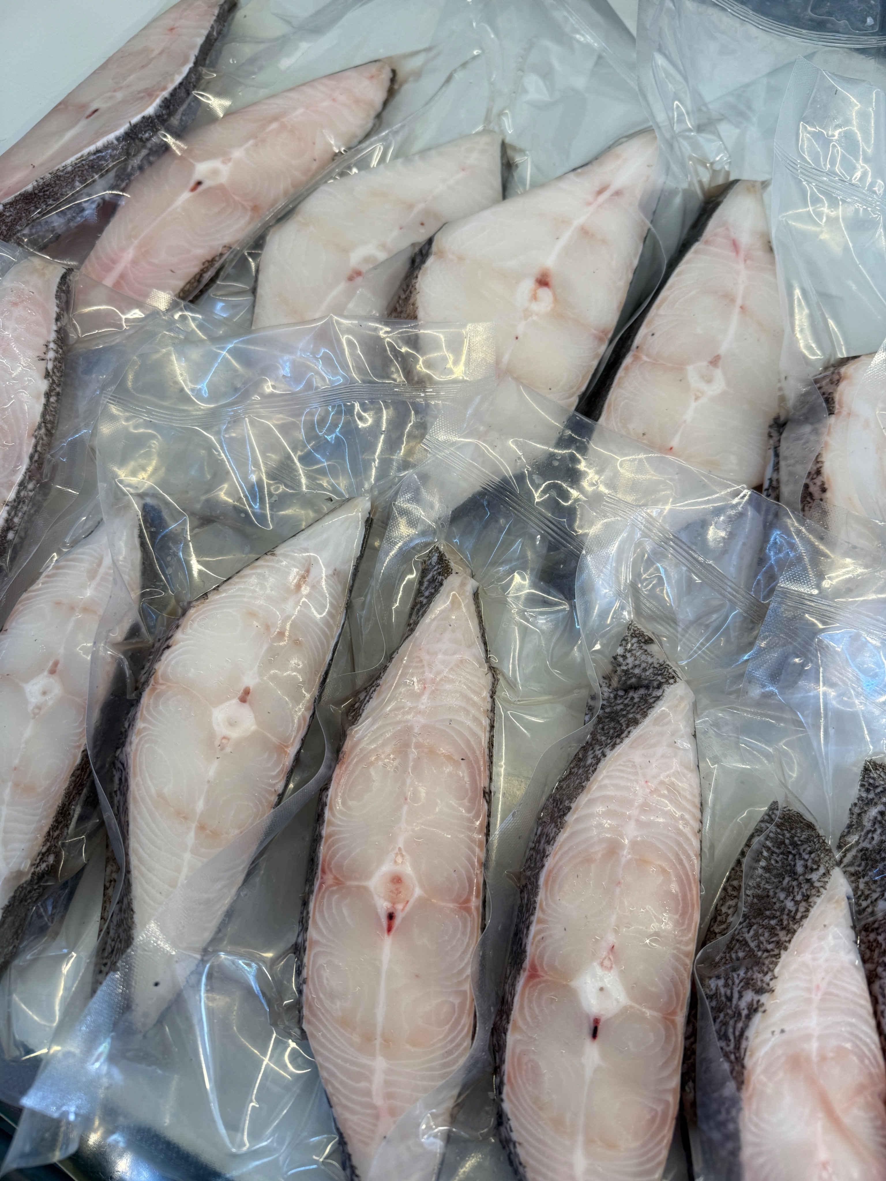 格林蘭大比目魚