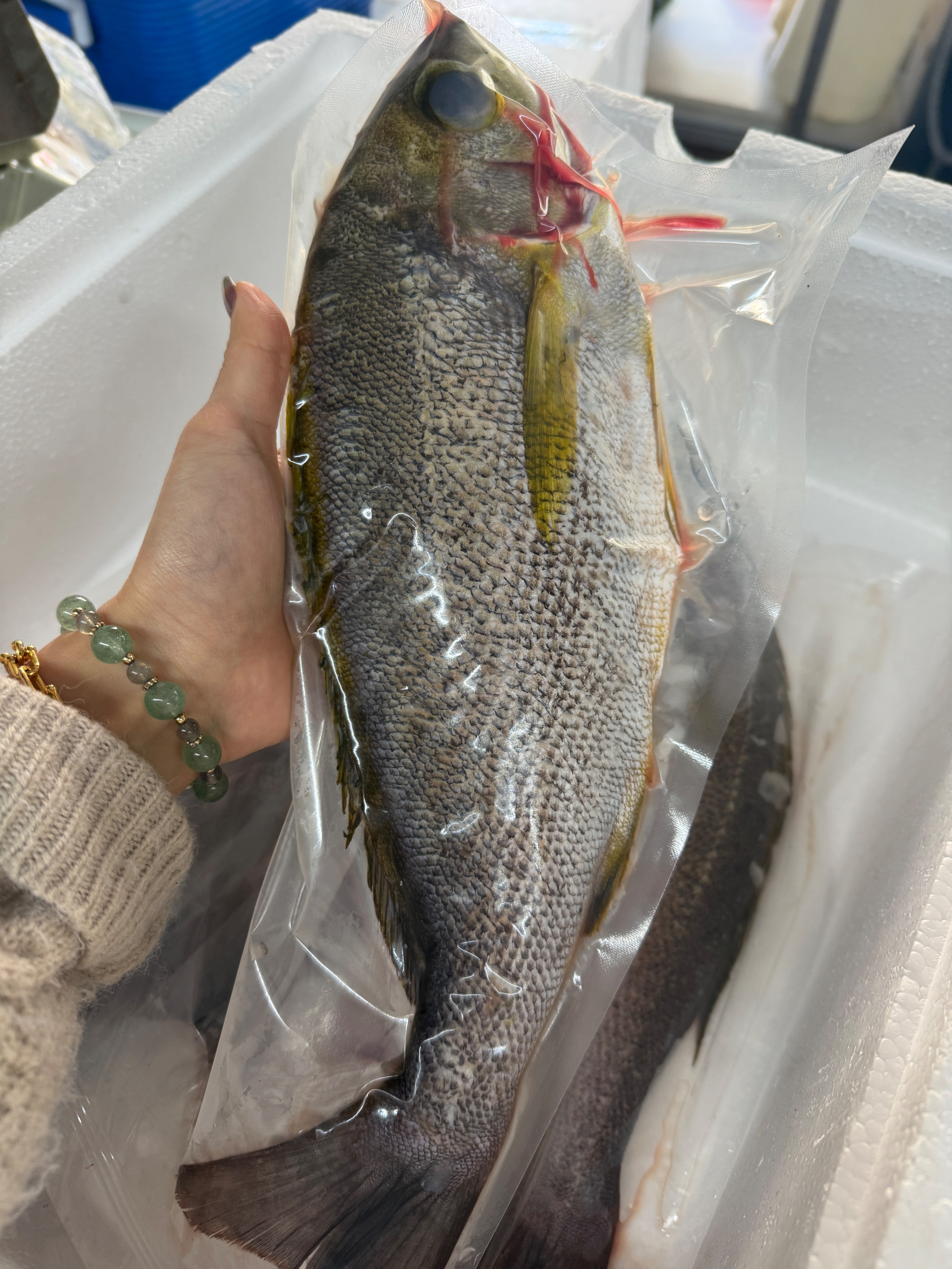 海魚🐠黃雞（一斤380）