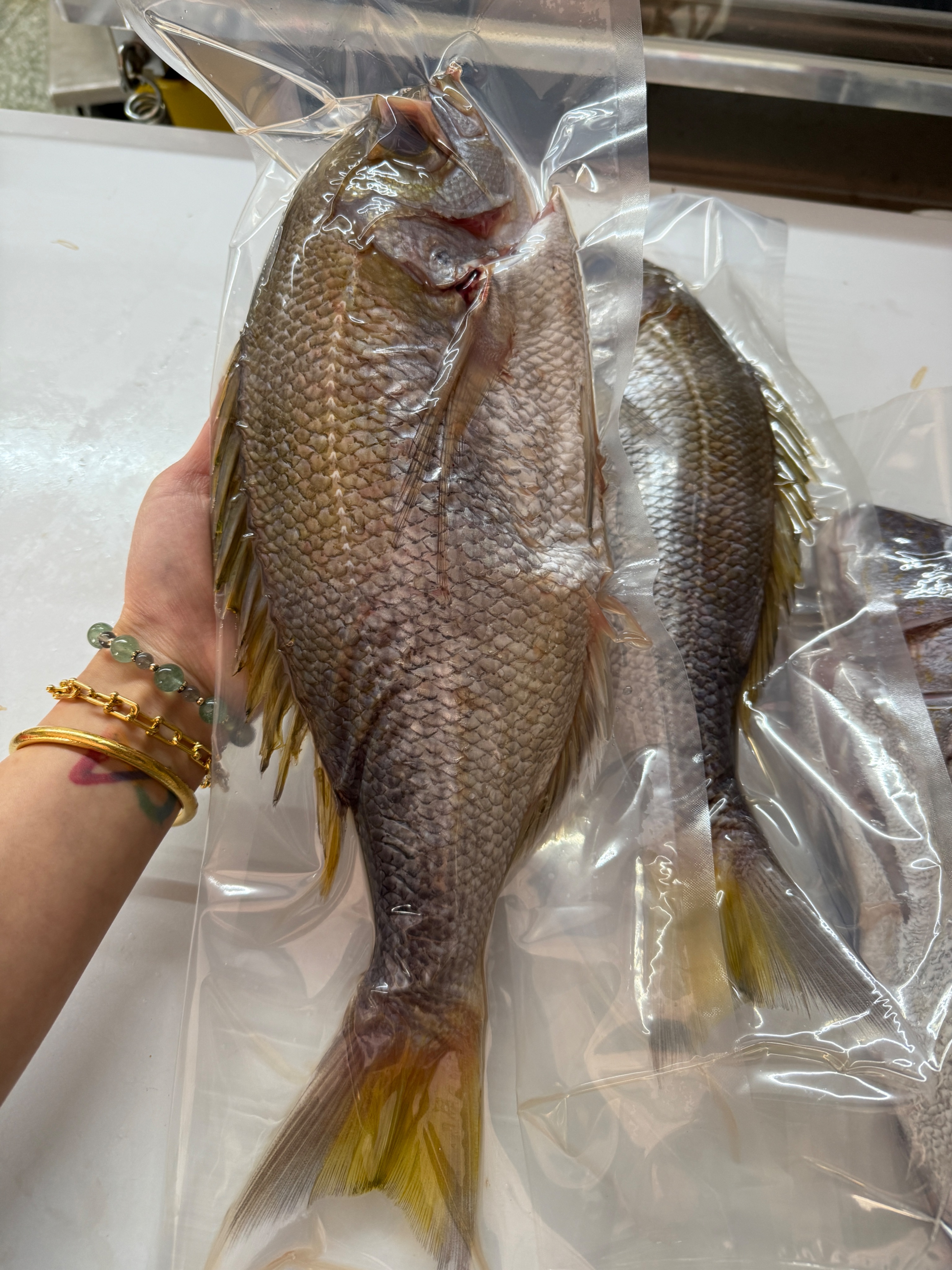 海魚🐠厚殼雞