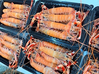 野生角蝦🦐（950/斤）
