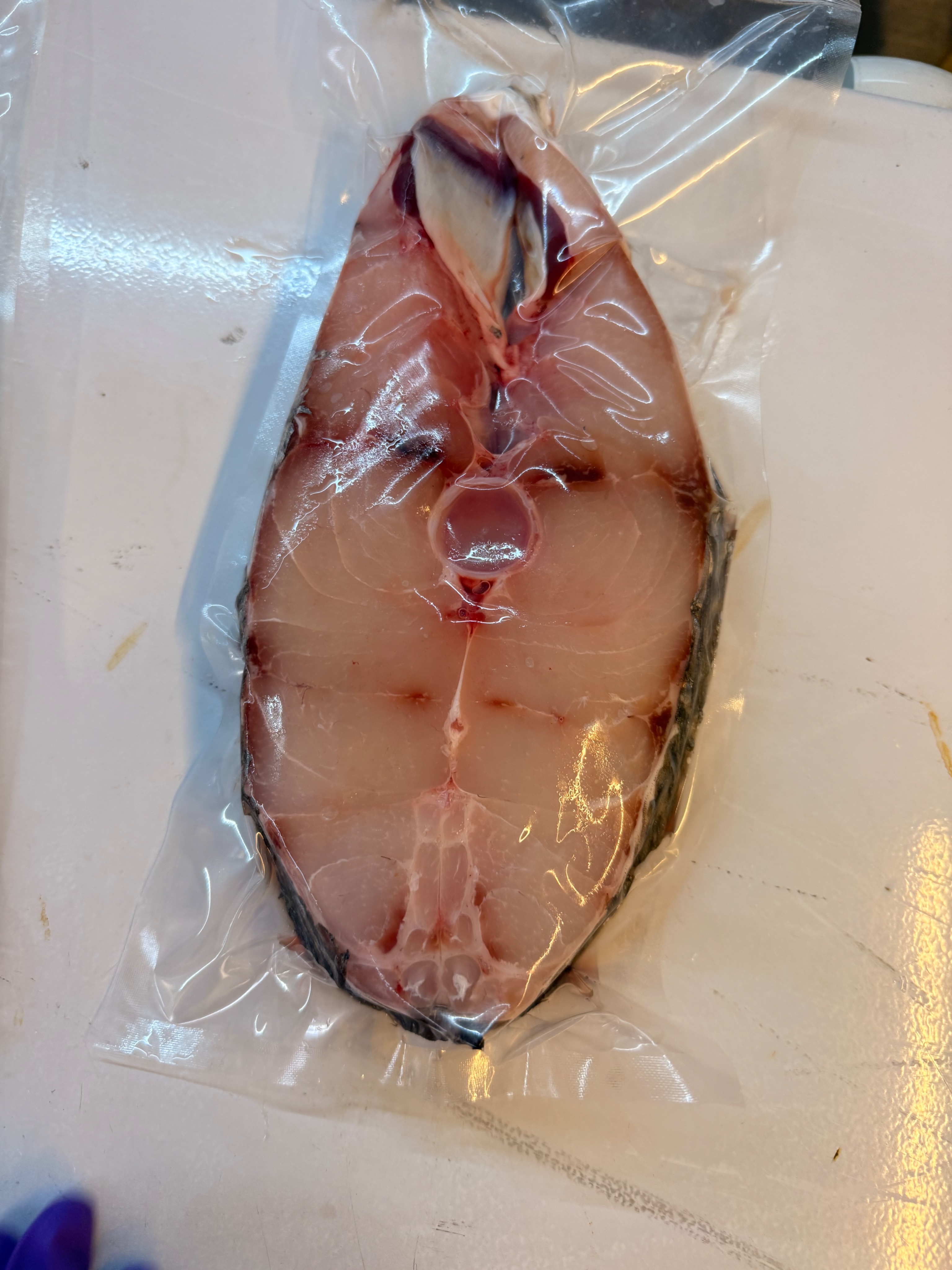 海魚🐠鮸魚