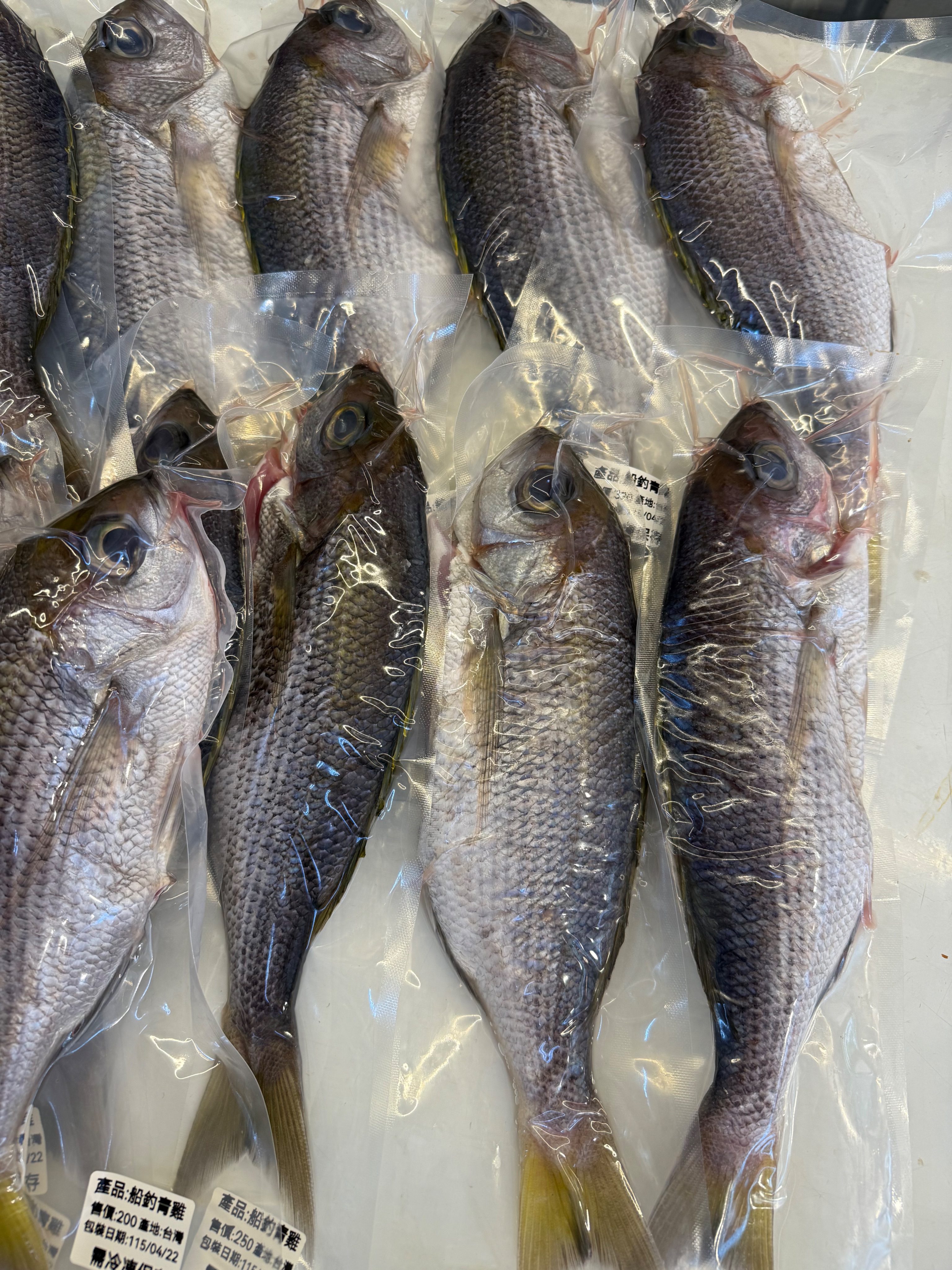 海魚🐠船釣青雞（320/斤）