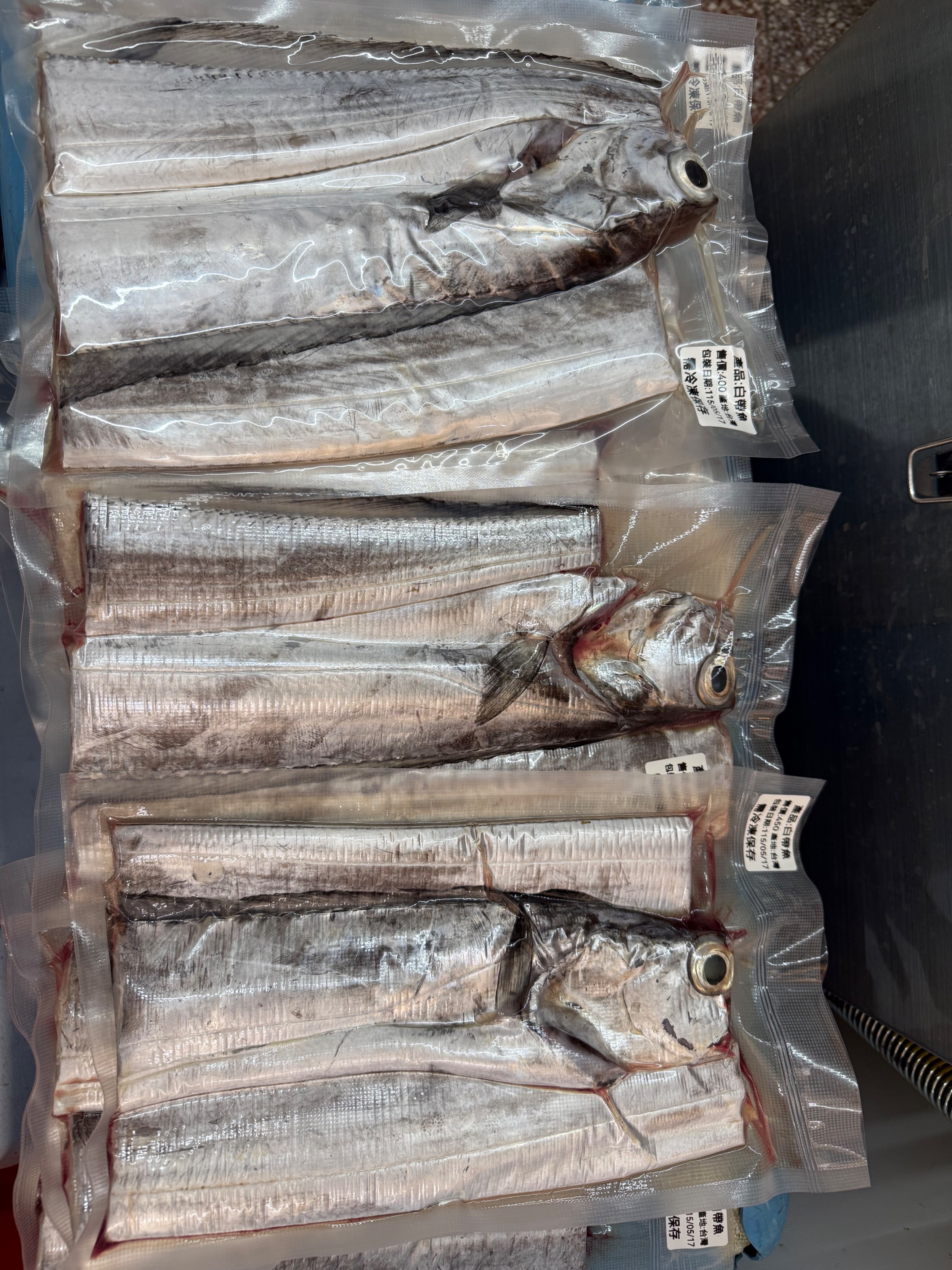 海魚🐠船釣白帶魚