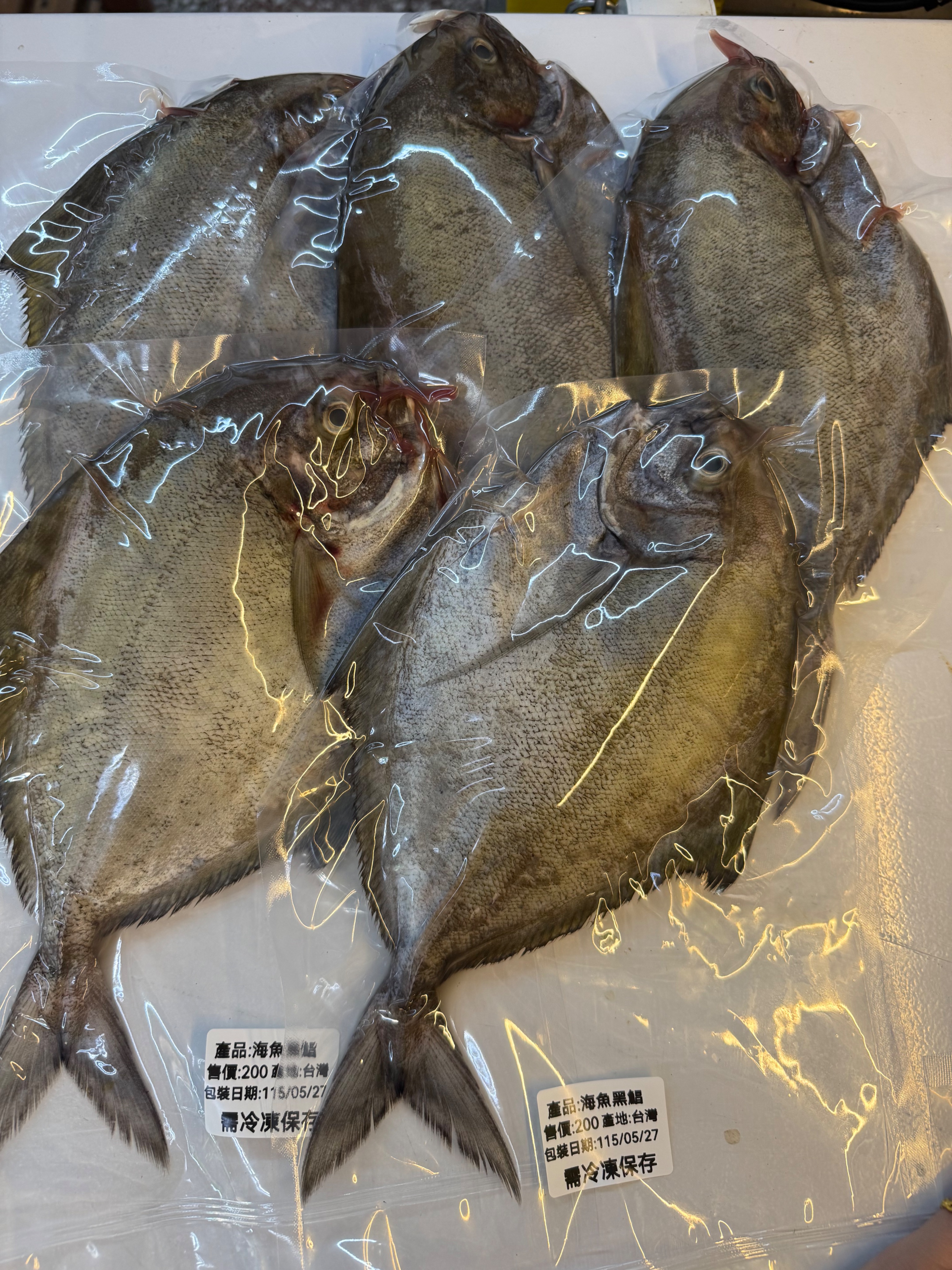 海魚🐠黑鯧