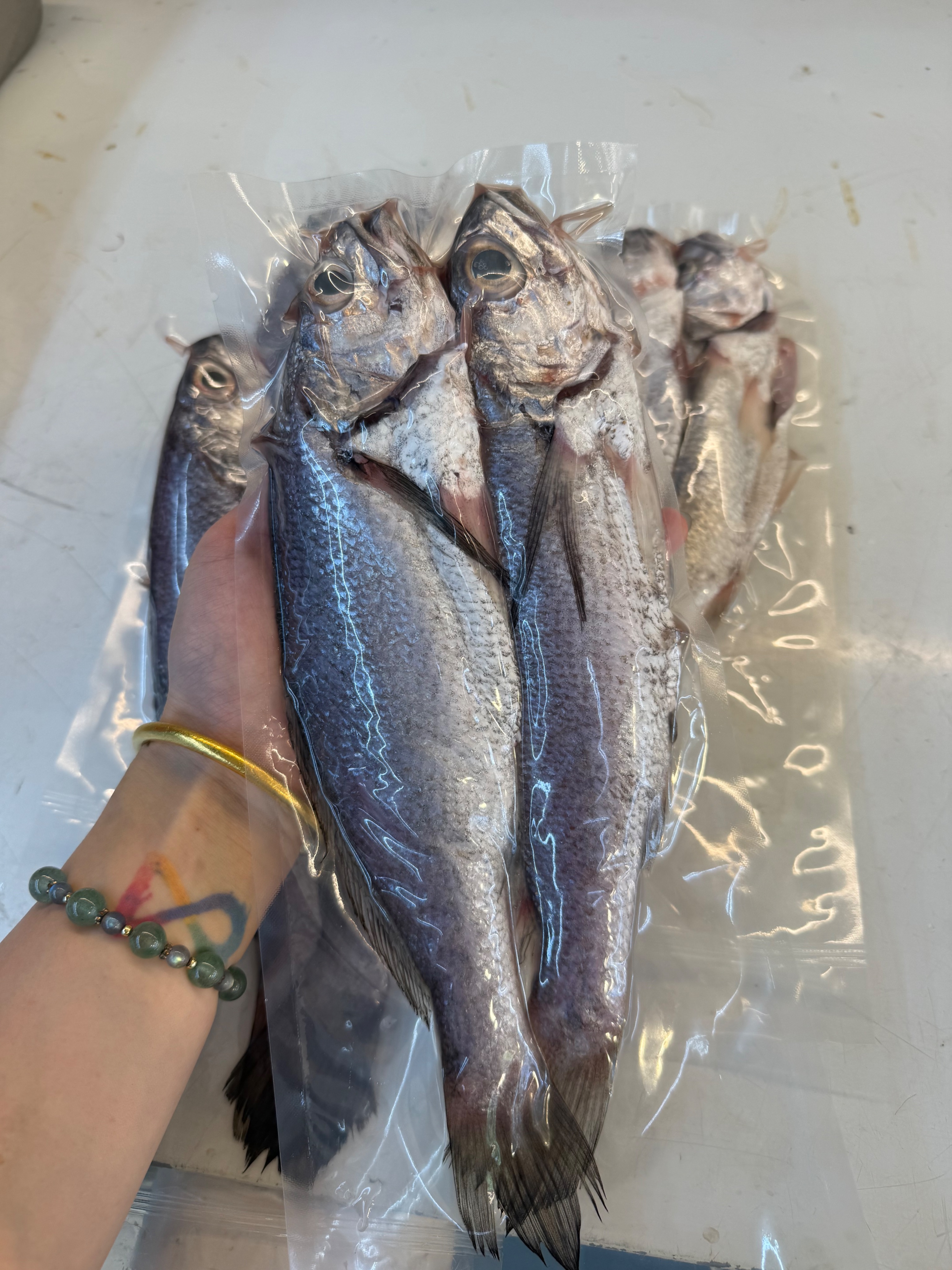 海魚🐠船釣黑喉