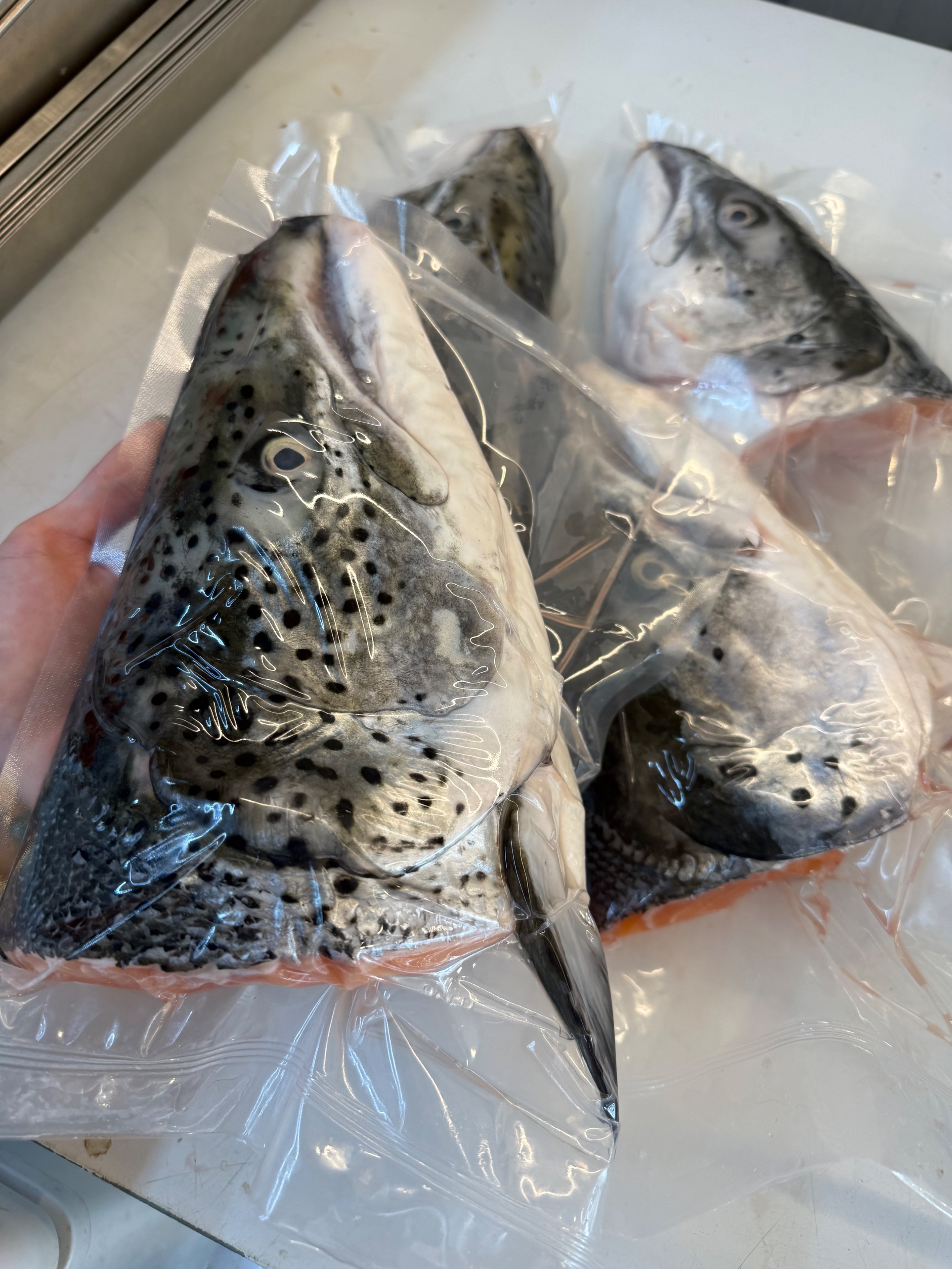 空運鮭魚頭（半）
