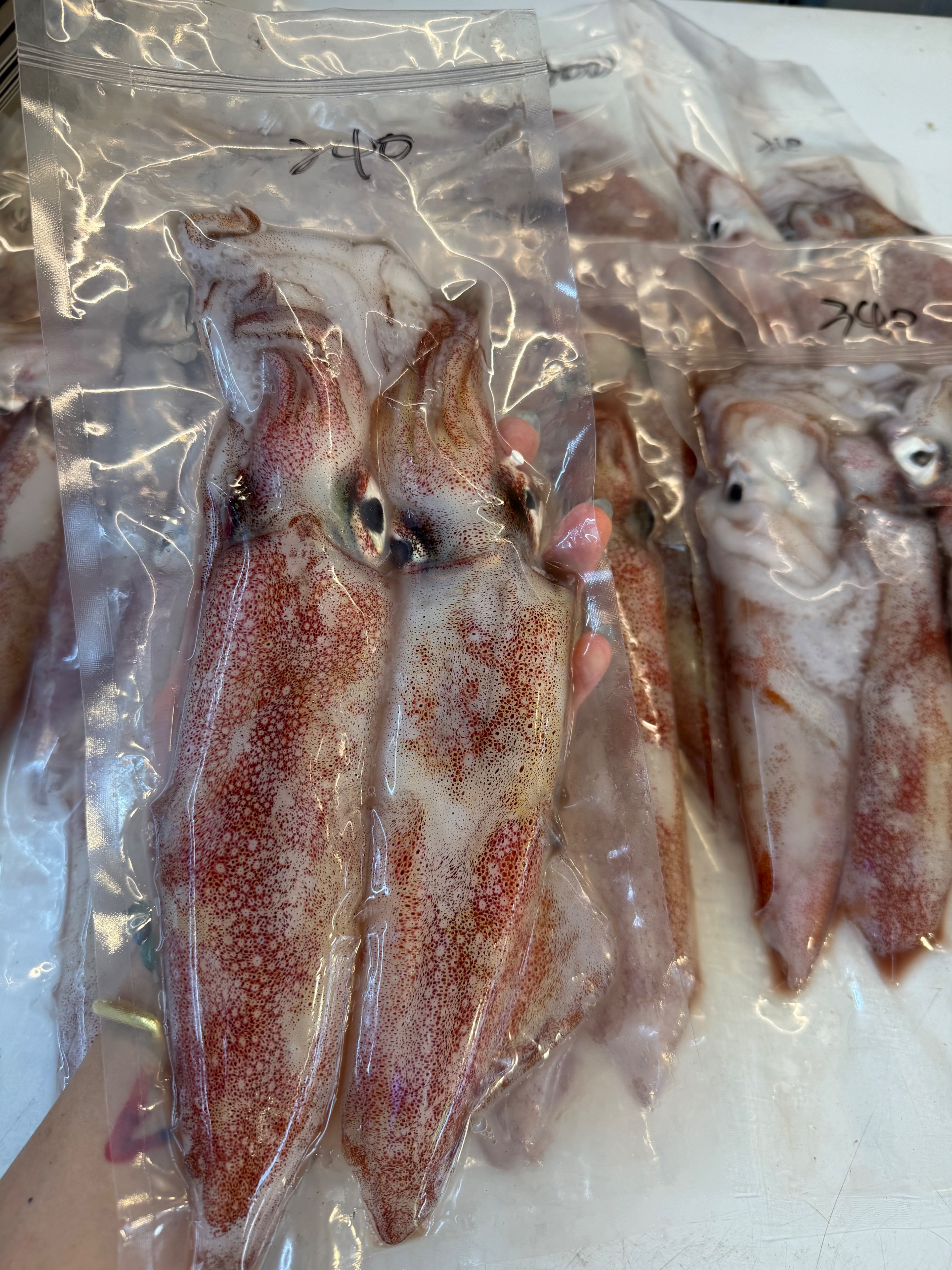 活透抽🦑
