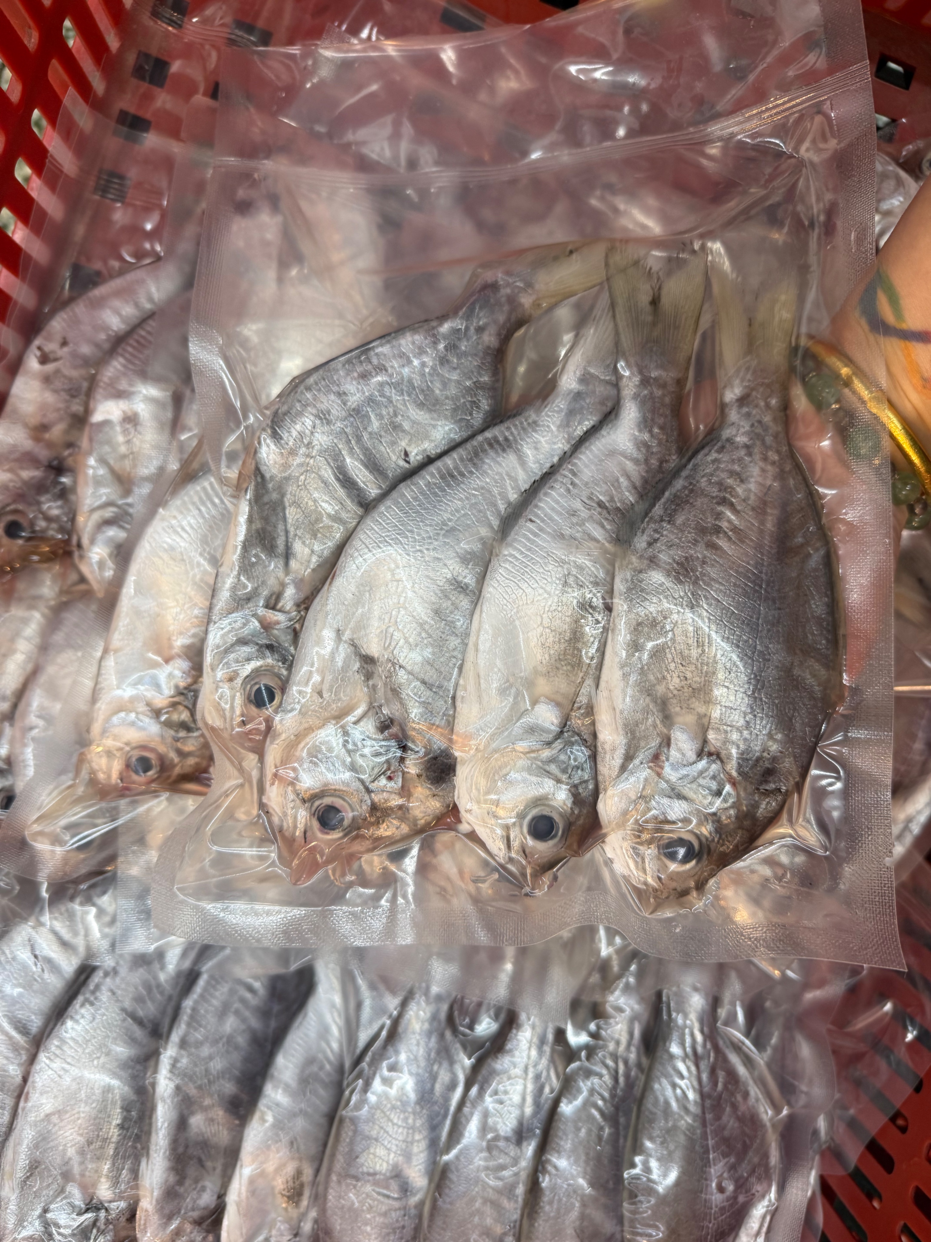 海魚🐠 現流肉魚