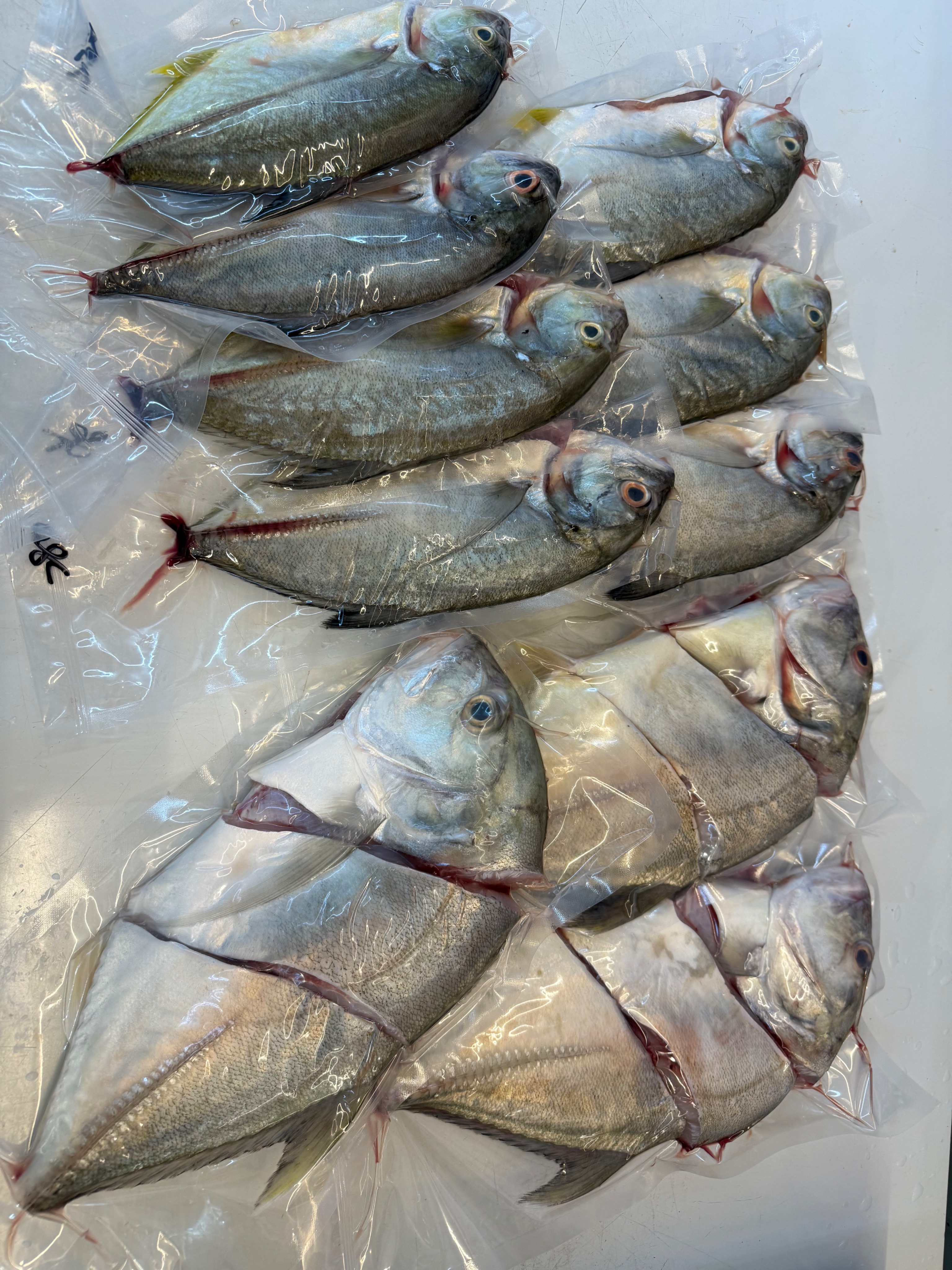 海魚🐠甘仔魚