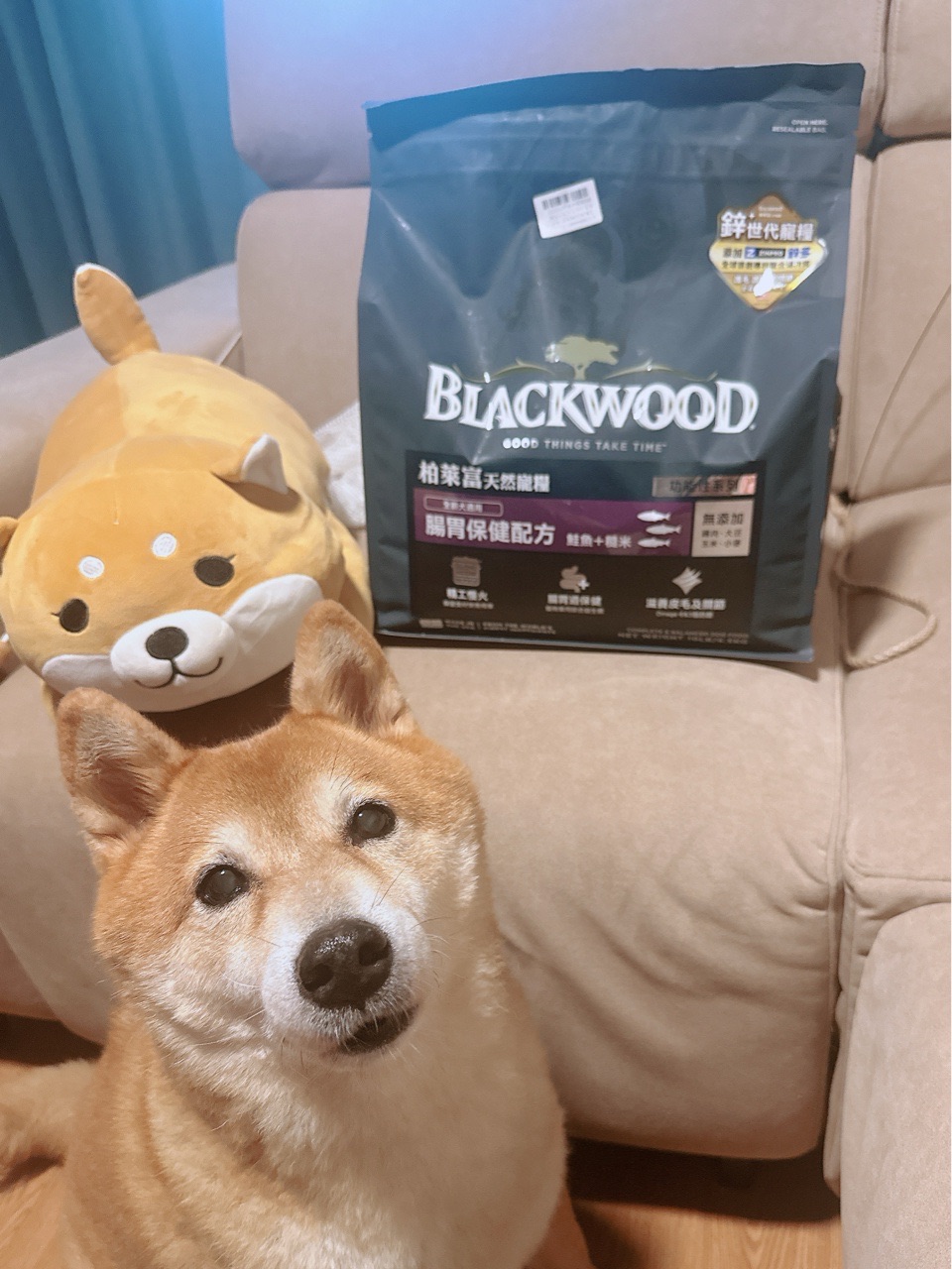 【BLACKWOOD 柏萊富】功能性系列犬用寵糧（腸胃保健）