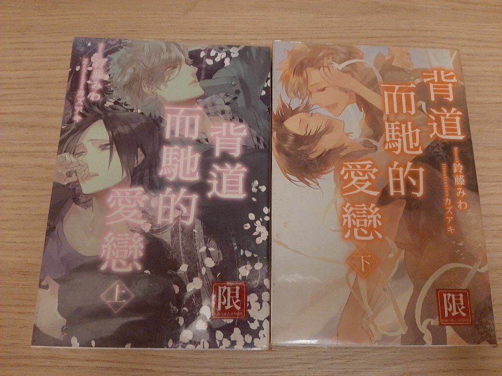 背道而馳的愛戀 上下兩冊小說