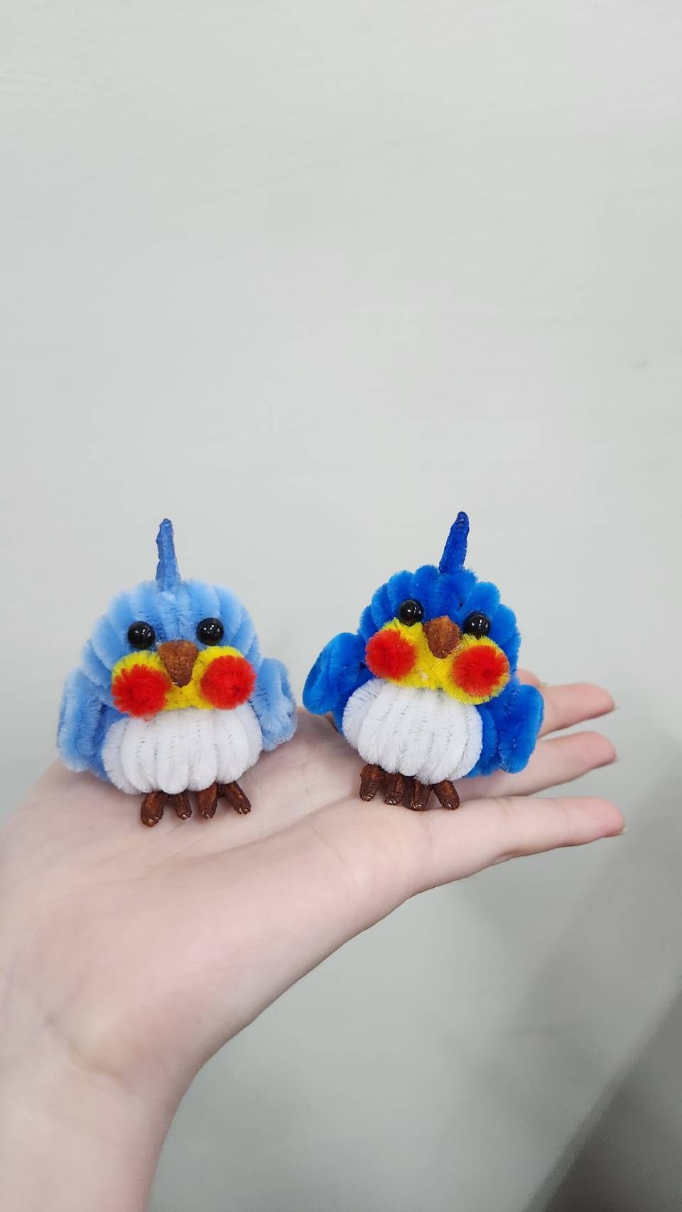 可愛手作鸚鵡🫶🏻