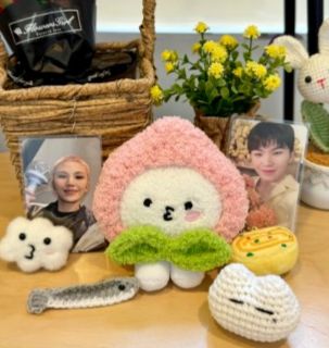 飯製　SEVENTEEN《MINITEEN》娃衣