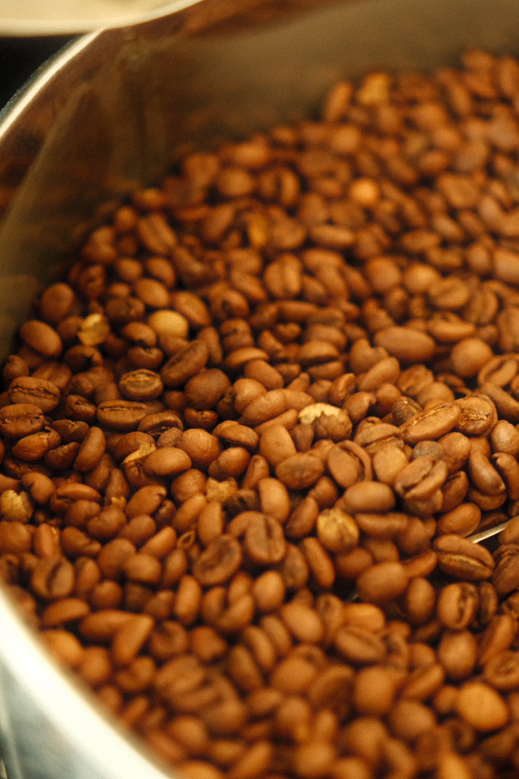 衣索比亞 古吉 凱勇山單一農場 G1 日曬（2025 TOH 亞軍）