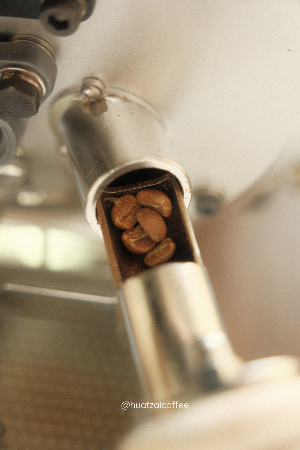 衣索比亞 古吉 世界冠軍BergWu 特選系列 水洗