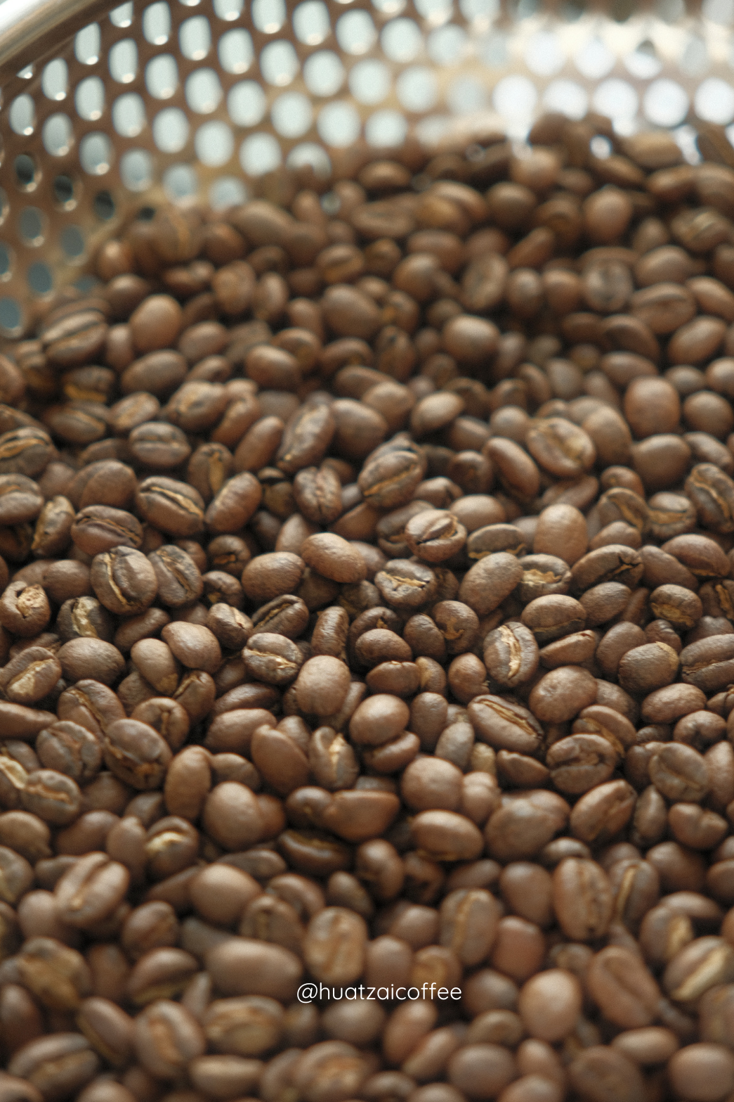 ＼深烘焙/ - 瓜地馬拉 薇薇特南果 SHB 水洗