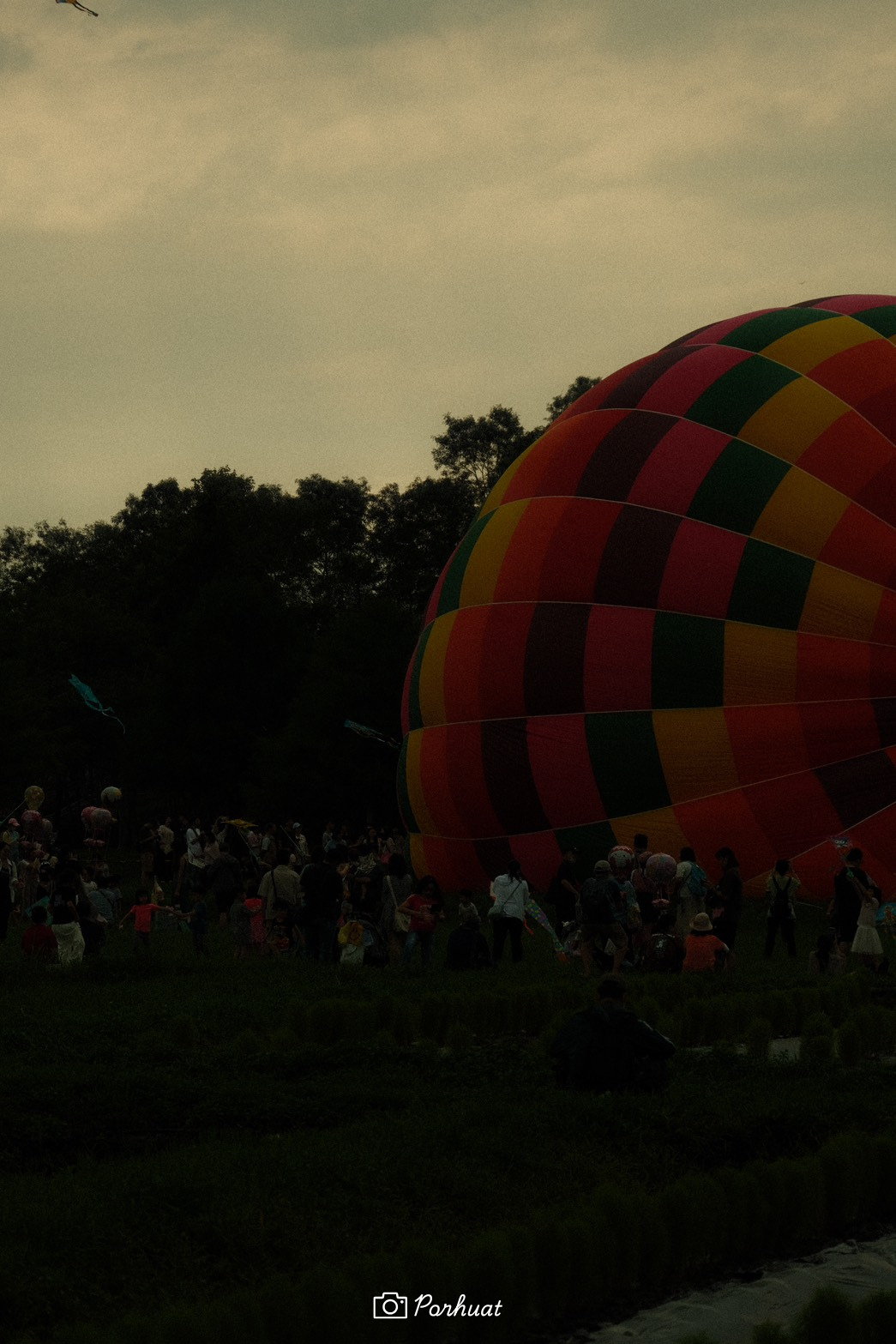 ＼最後2包 / - 衣索比亞 水洗 古吉 罕貝拉 花蝶 G1 TOH 水洗組非洲總冠軍