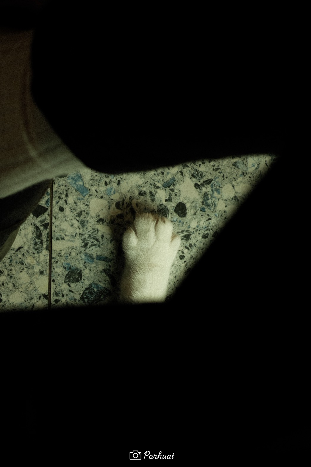 ＼NEW/ -  衣索比亞 耶加雪菲 艾瑞嘉 紅果甜美 日曬 G1