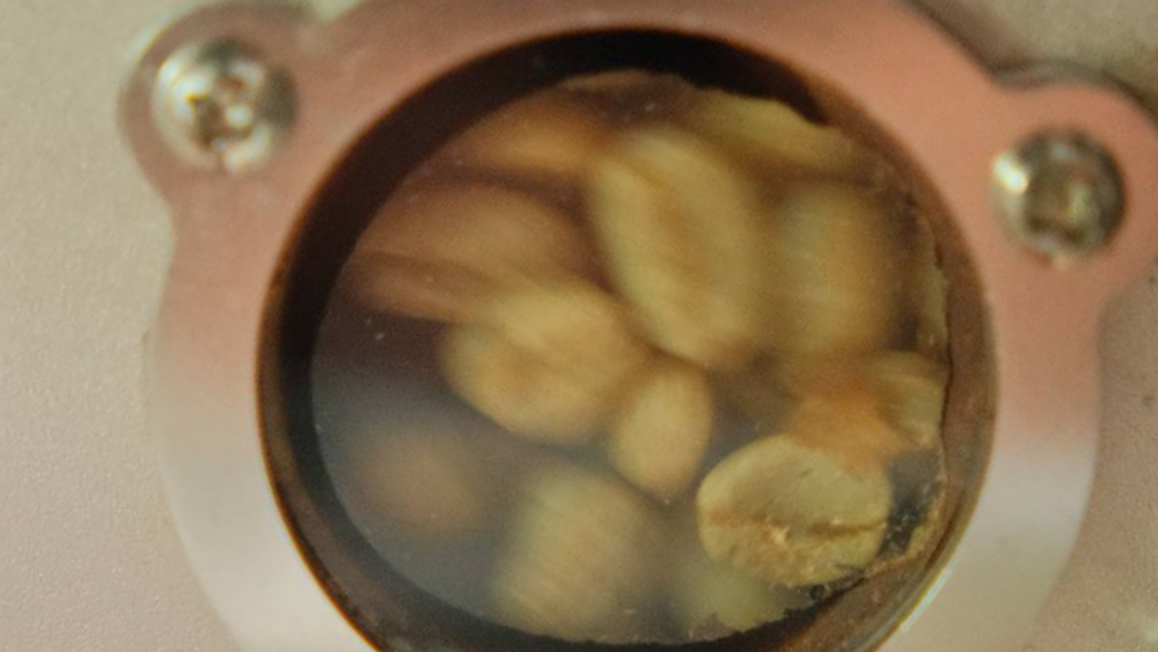 半熟蜜境｜拿鐵配方 𝐿𝒶𝓉𝓉𝑒 𝐵𝓁𝑒𝓃𝒹