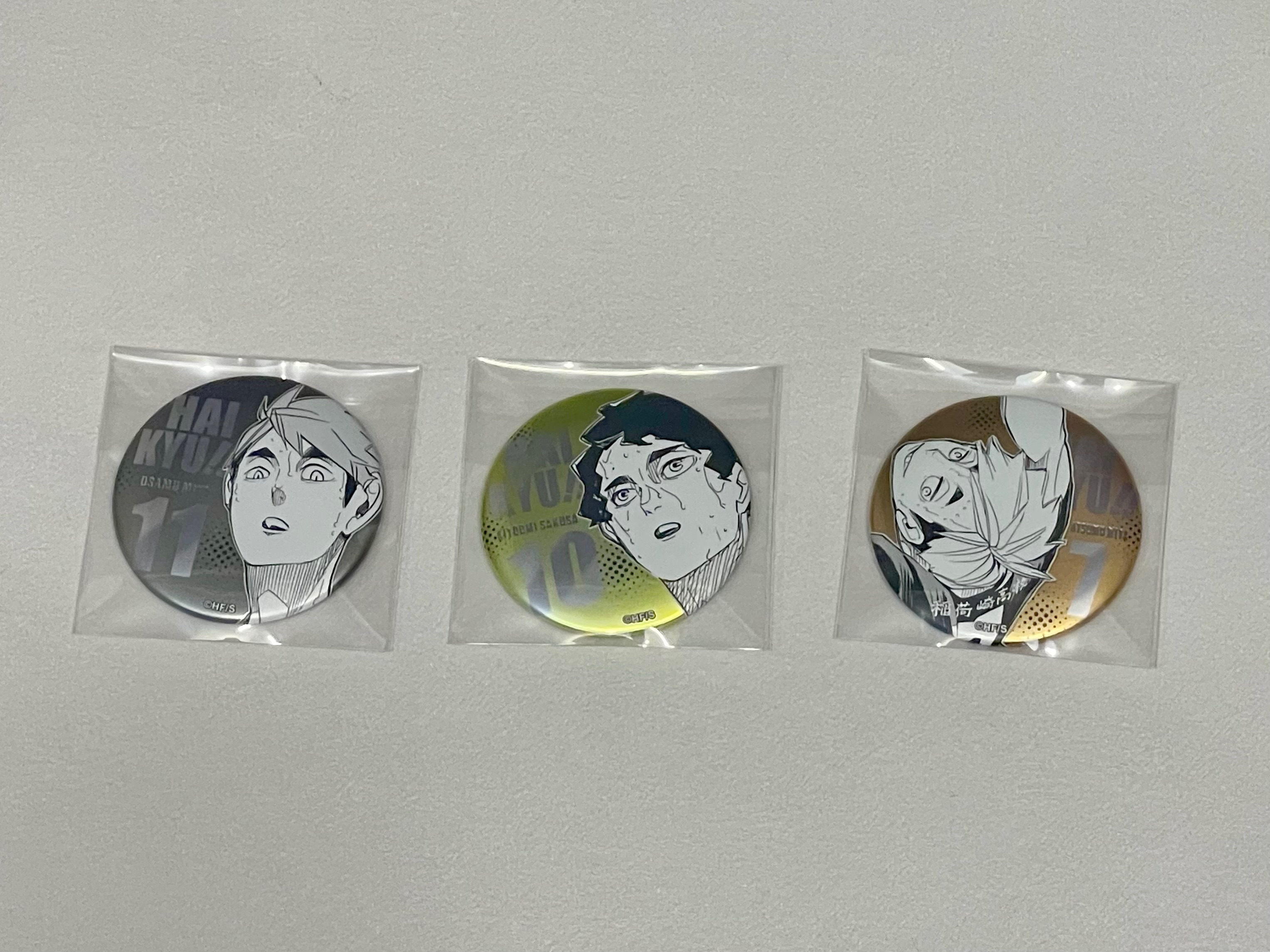 徽章區2（排球少年fan park浮雕徽）