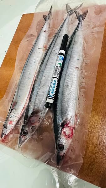 特A級秋刀魚