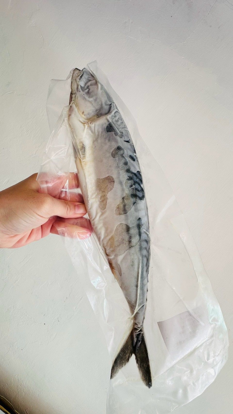 鯖魚三去