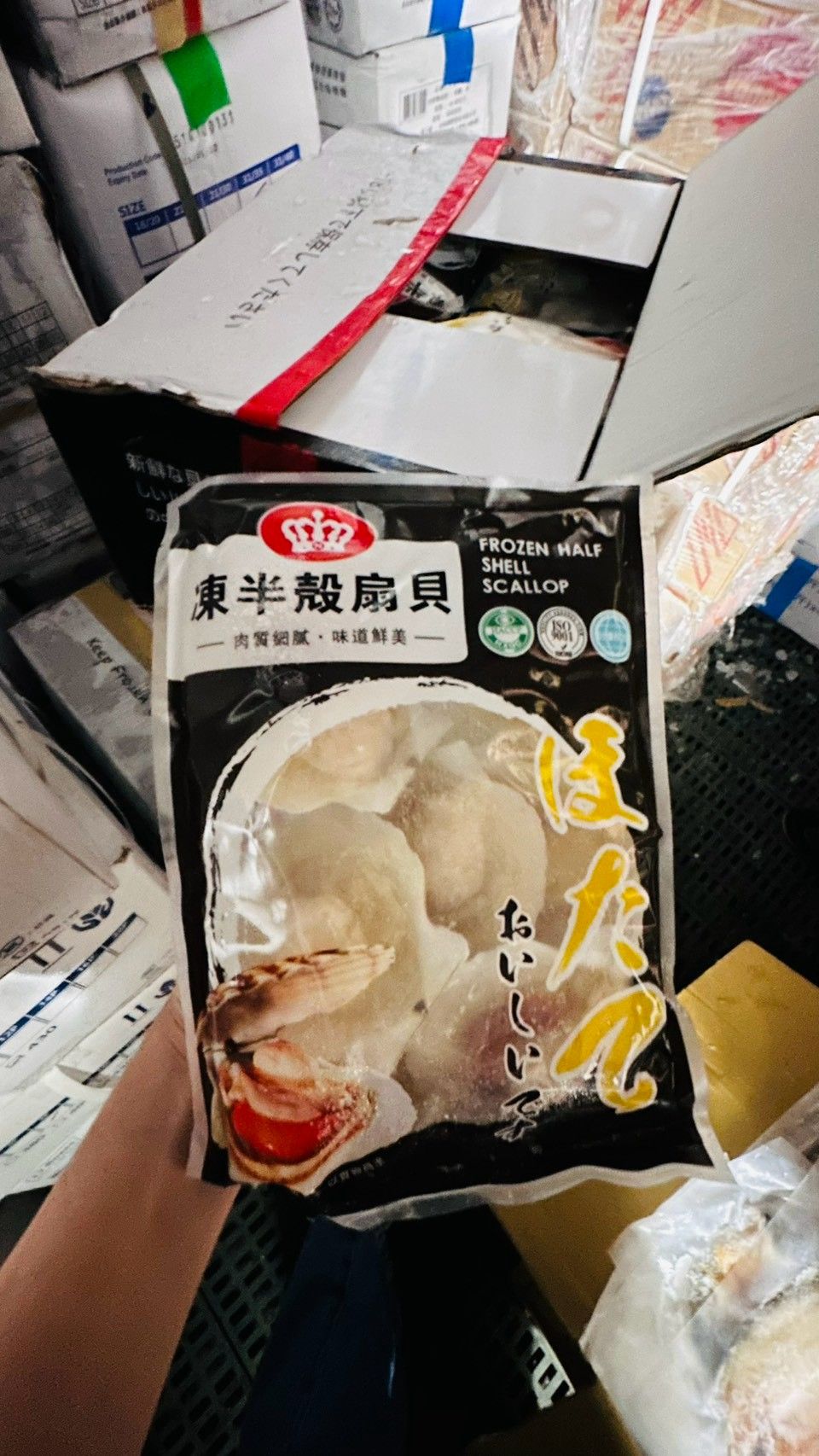 半殼扇貝 8/9