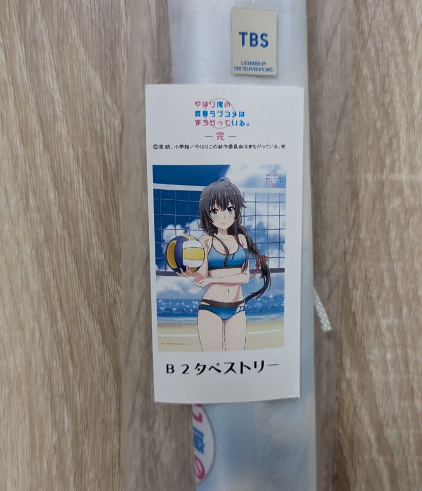 雪乃 排球 B2 尺寸掛軸