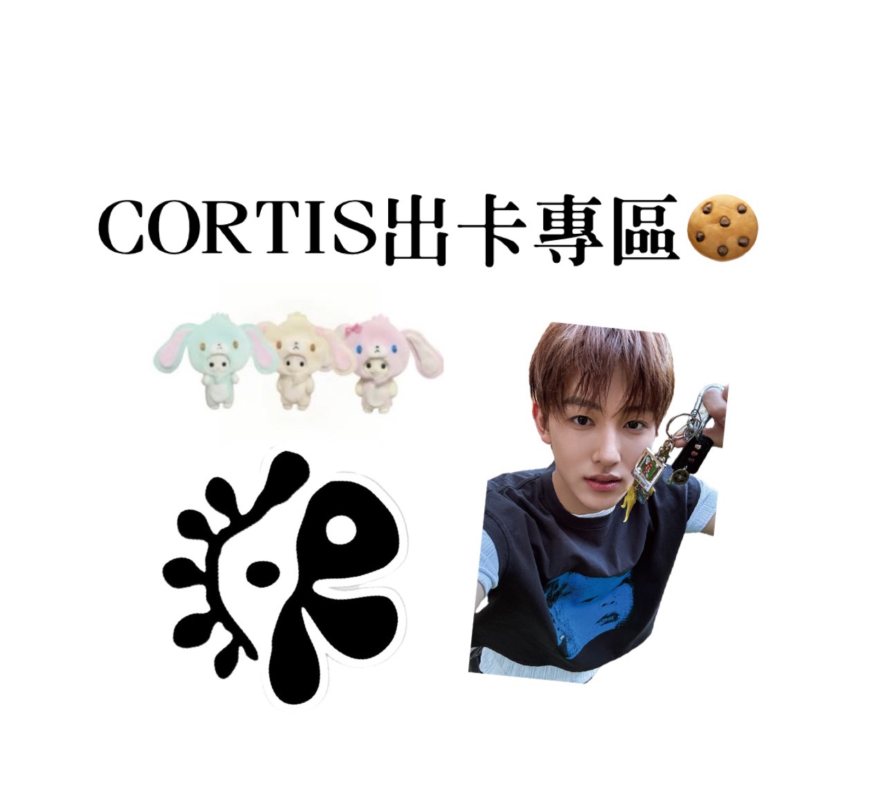 CORTIS出卡專區