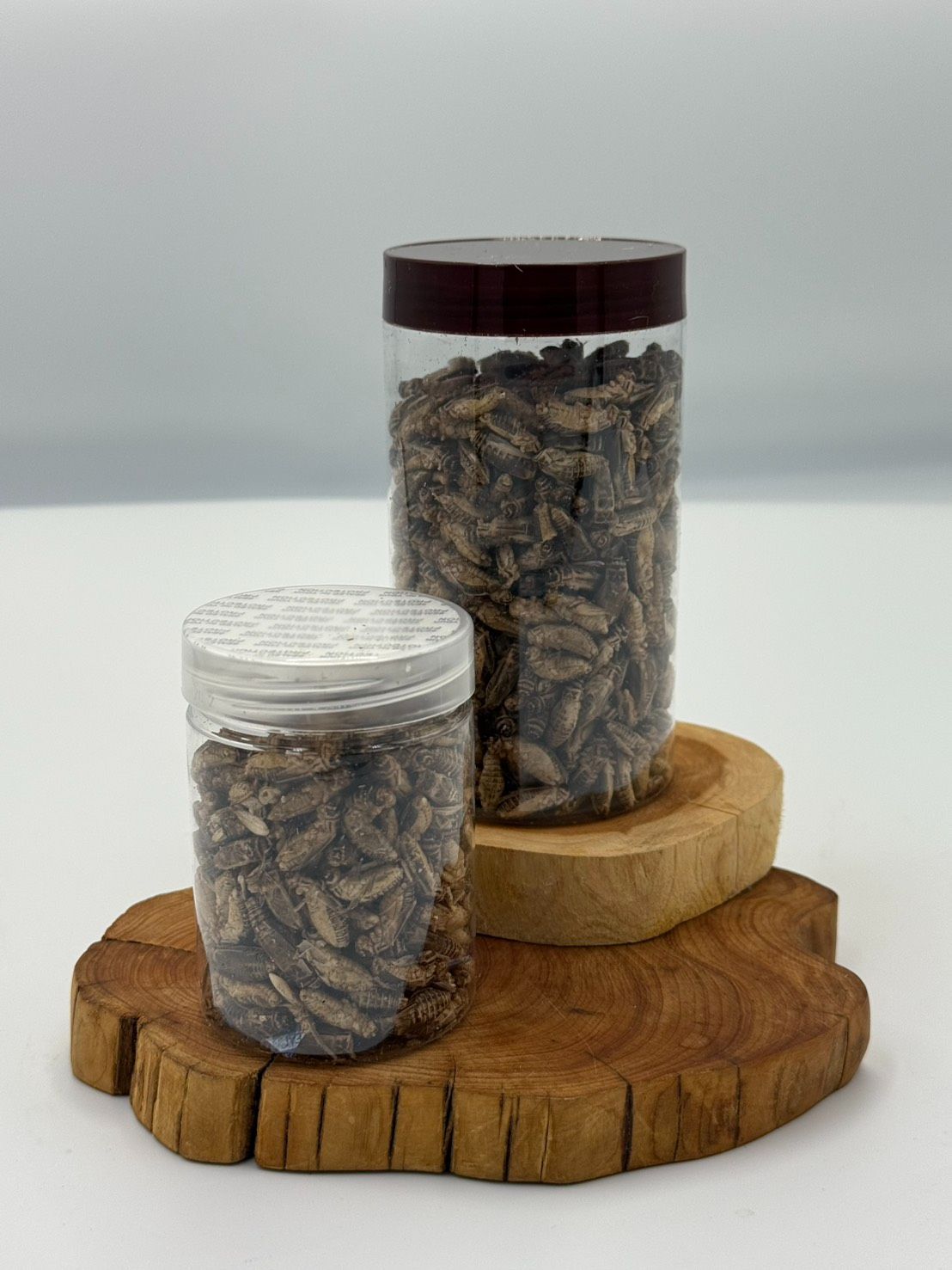 黑/白凍乾蟋蟀（蟲乾 / 蟲粉）▕ 寵物飼料.通用飼料.高蛋白飼料▕