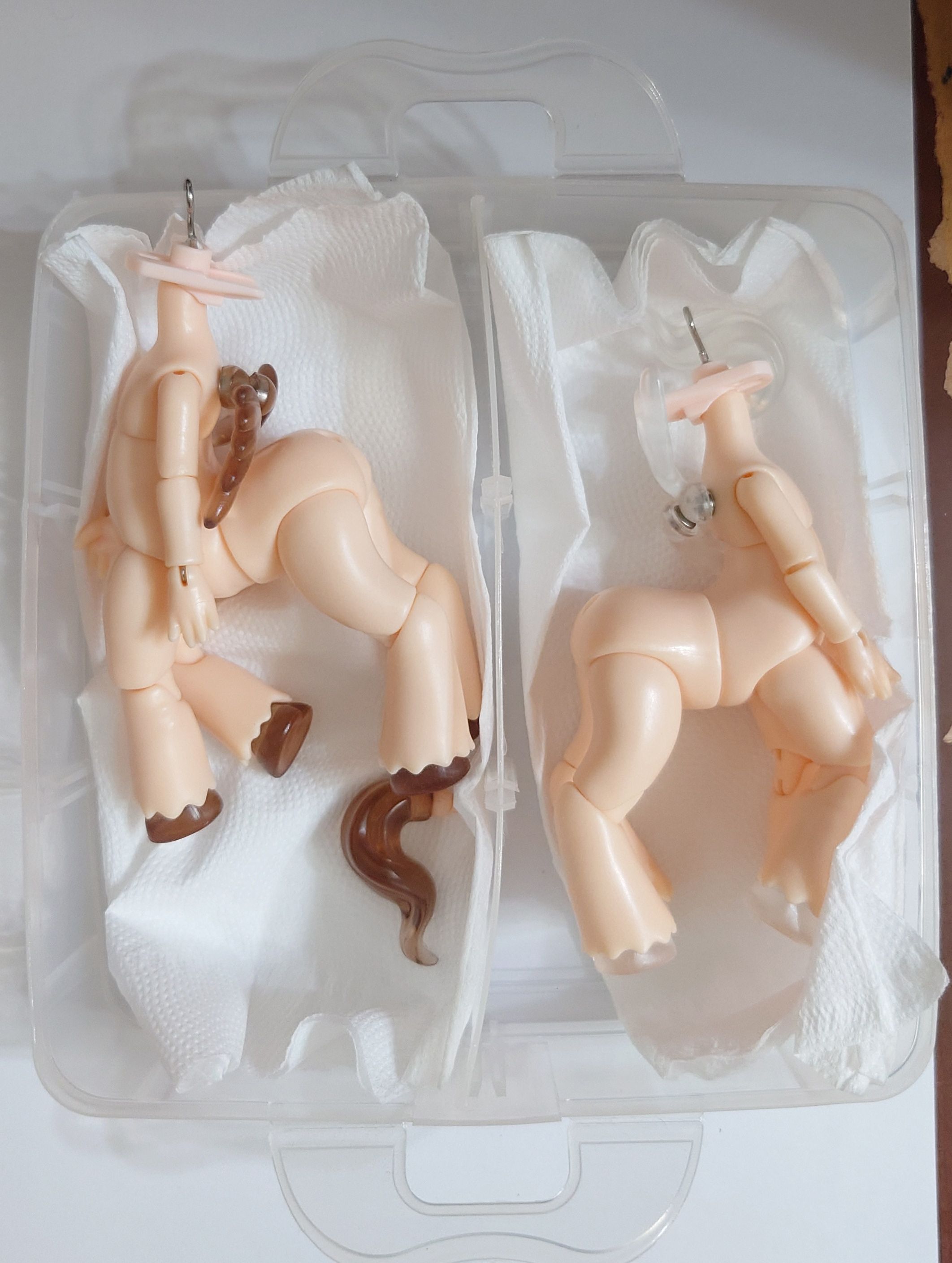 潘尼的小馬素體