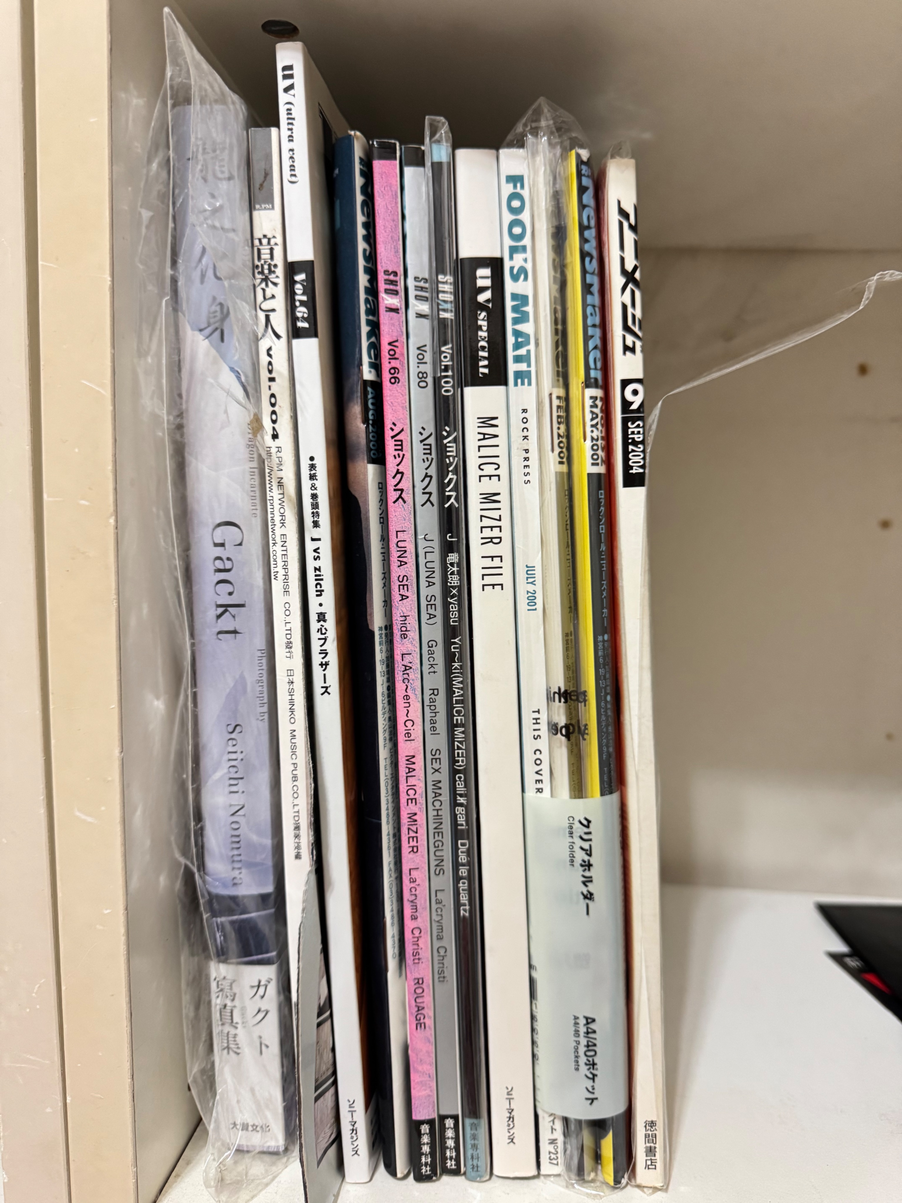 雜誌與寫真集